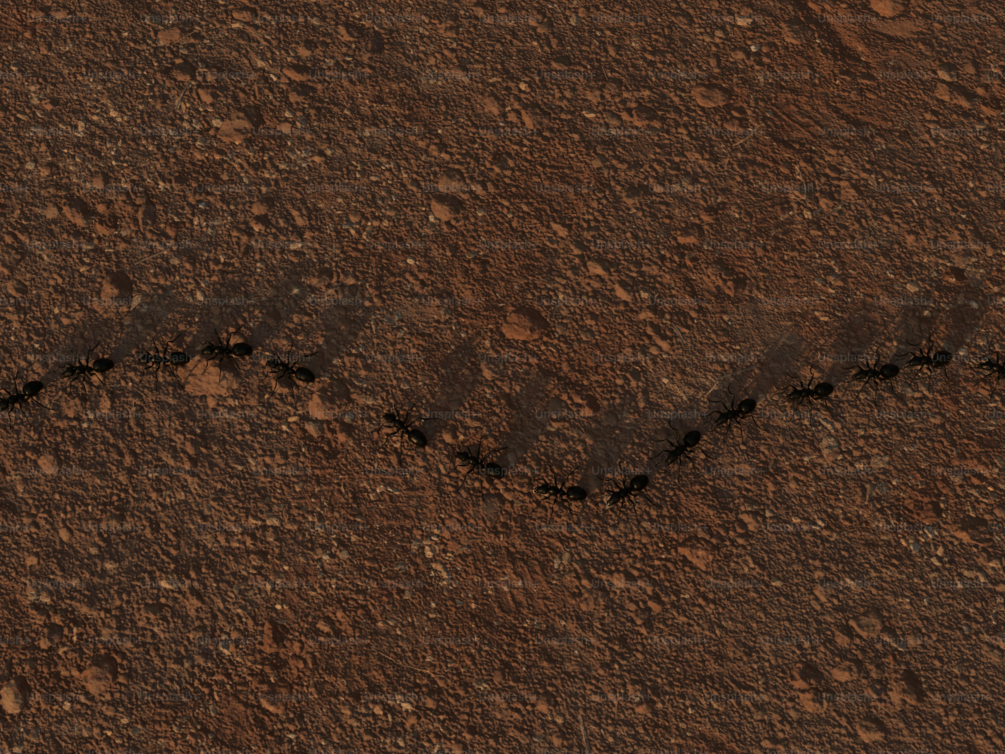 A picture of a dirt surface with a heart drawn in it photo – Nature ...