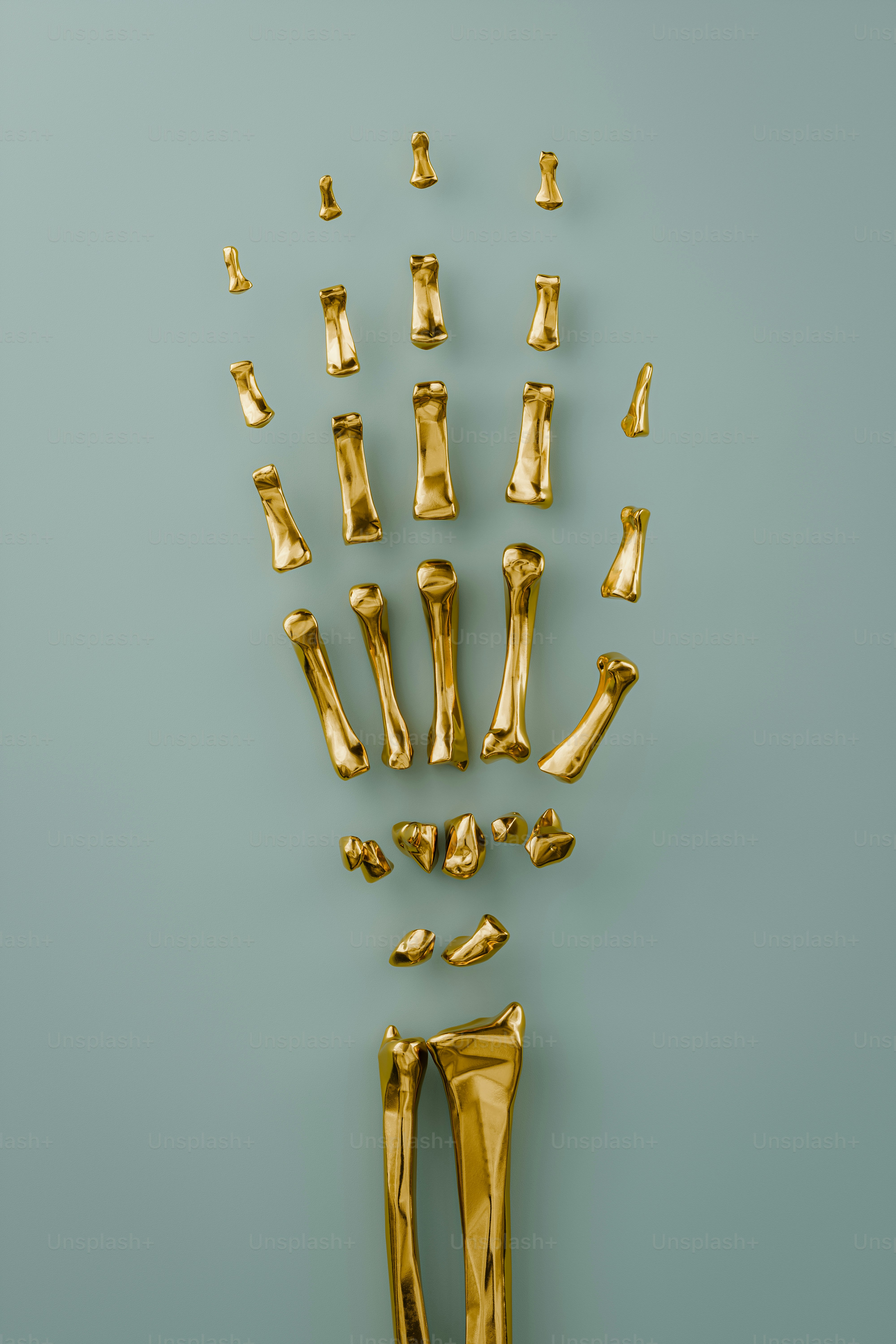 Detailed visualization of the arm bones in the human skeleton. 3D render.