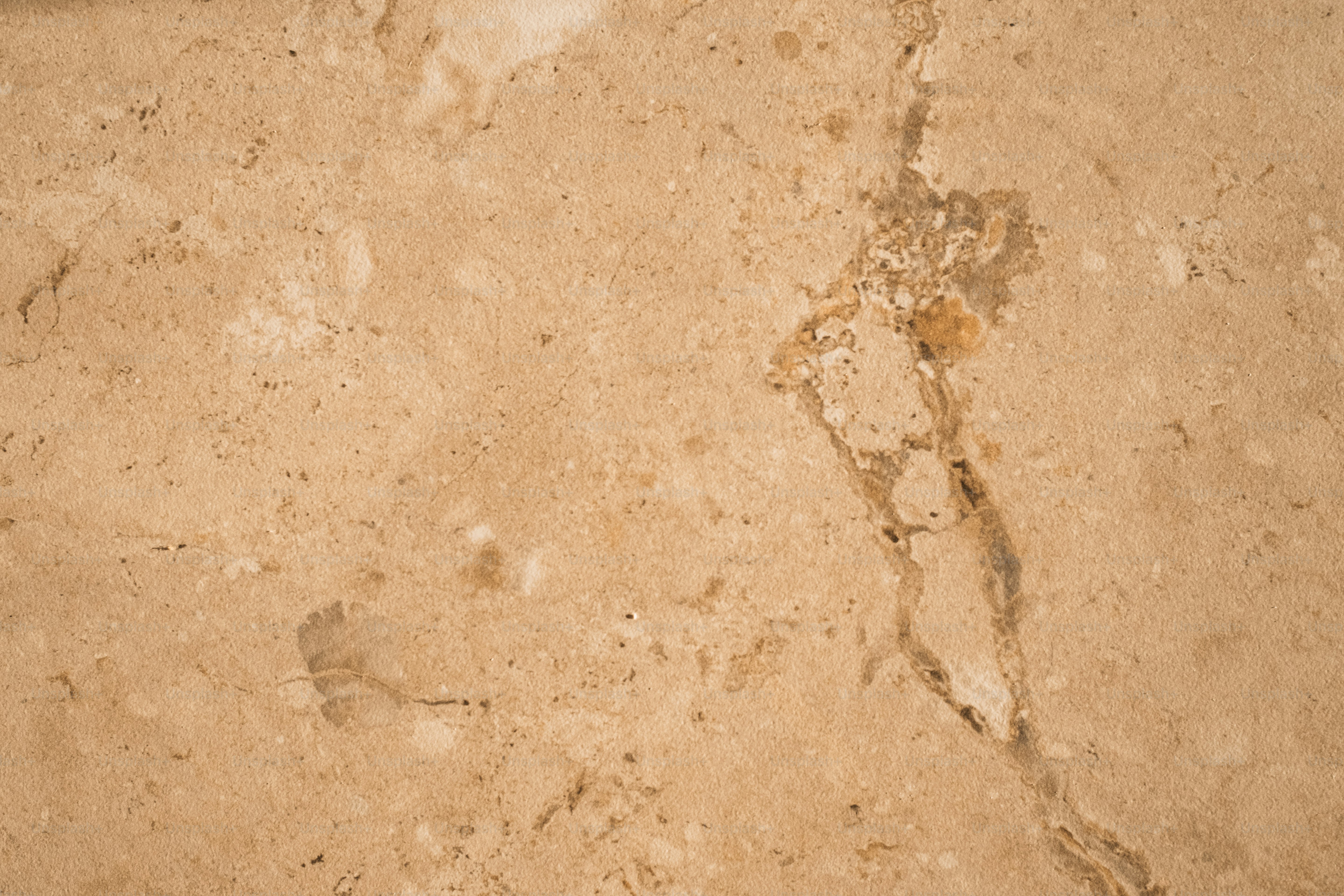 ひび割れのあるタイル張りの床のクローズアップ