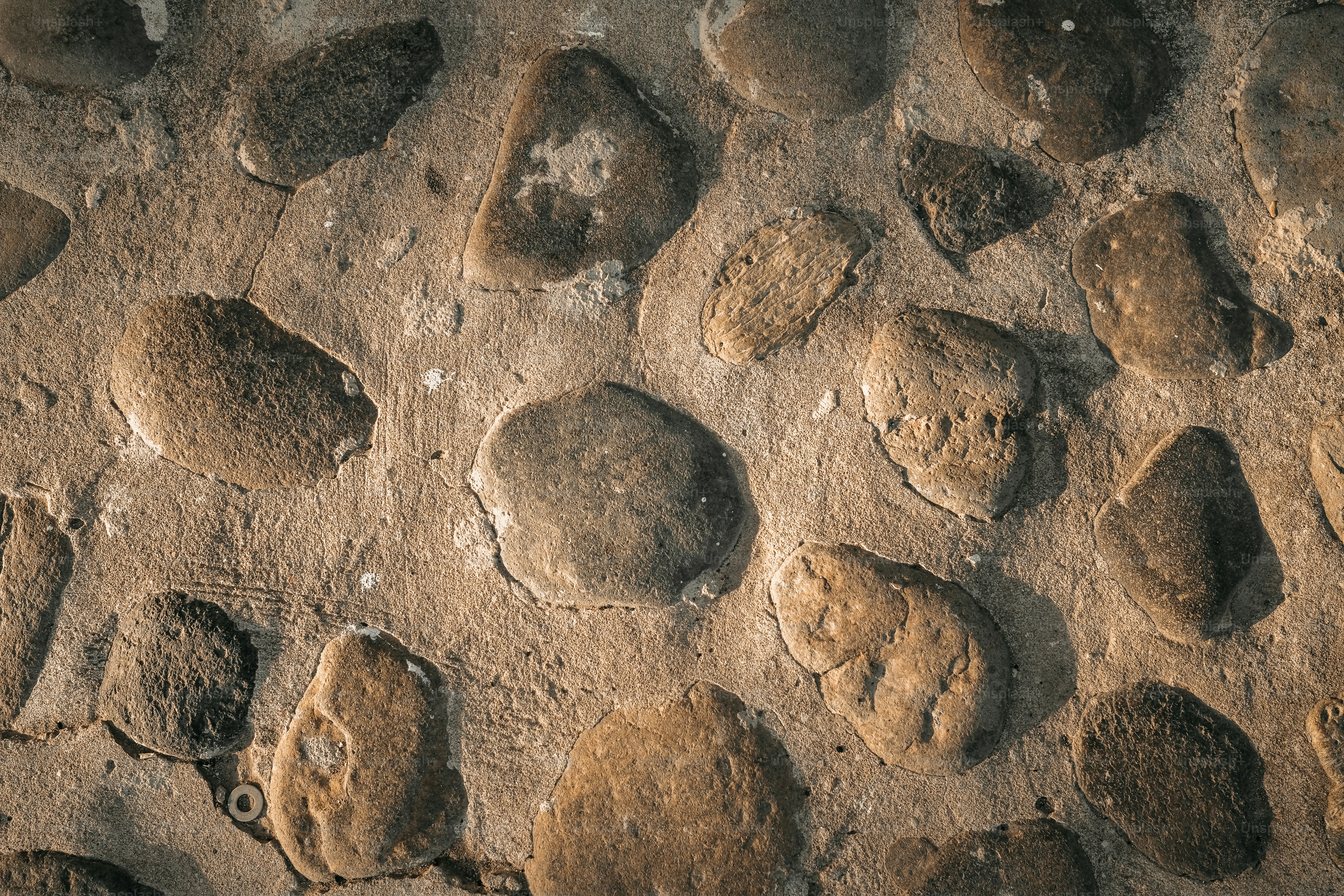 表面の岩や土のクローズアップ