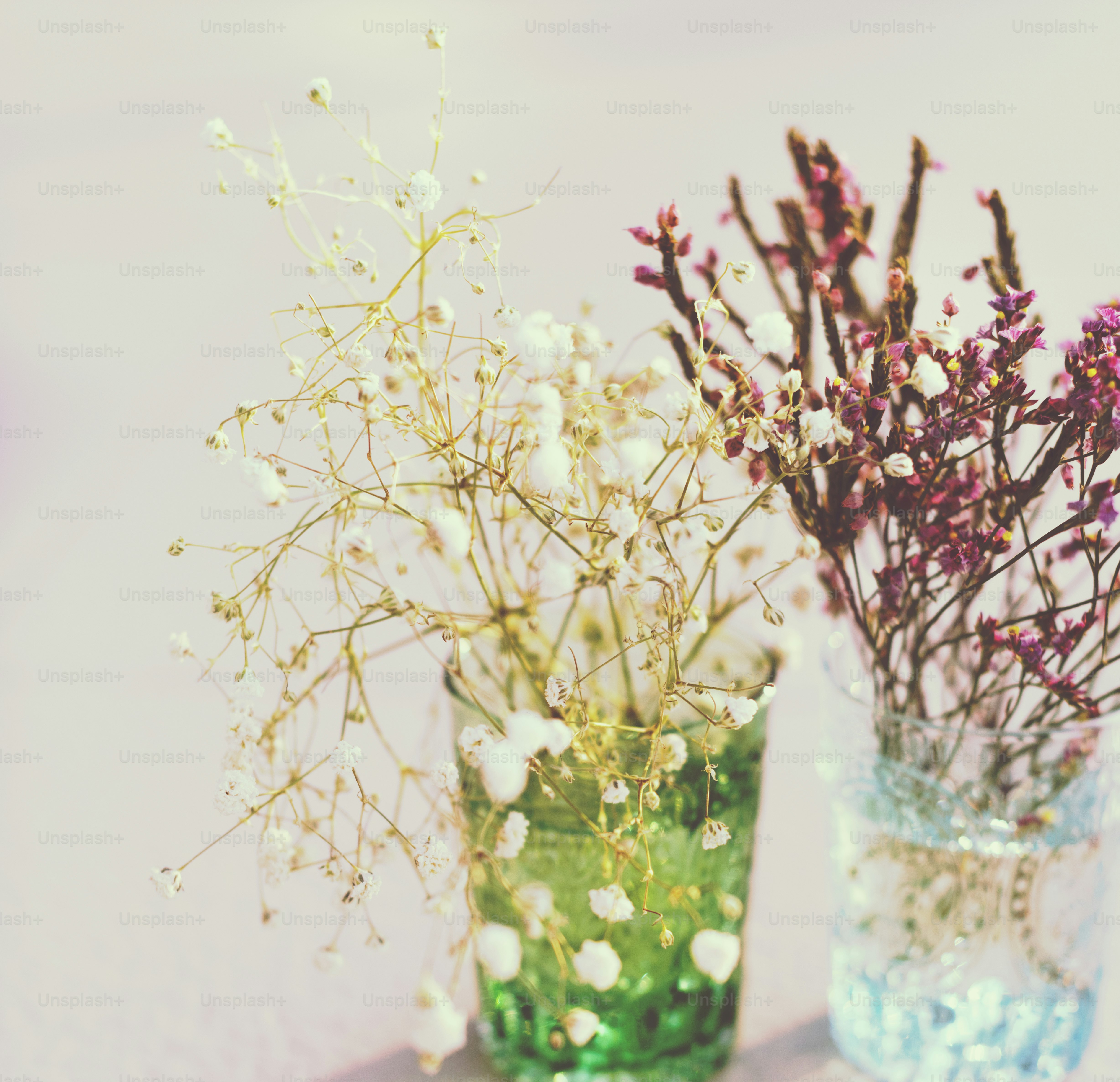 Glass Plant Decoration Beautiful Concept