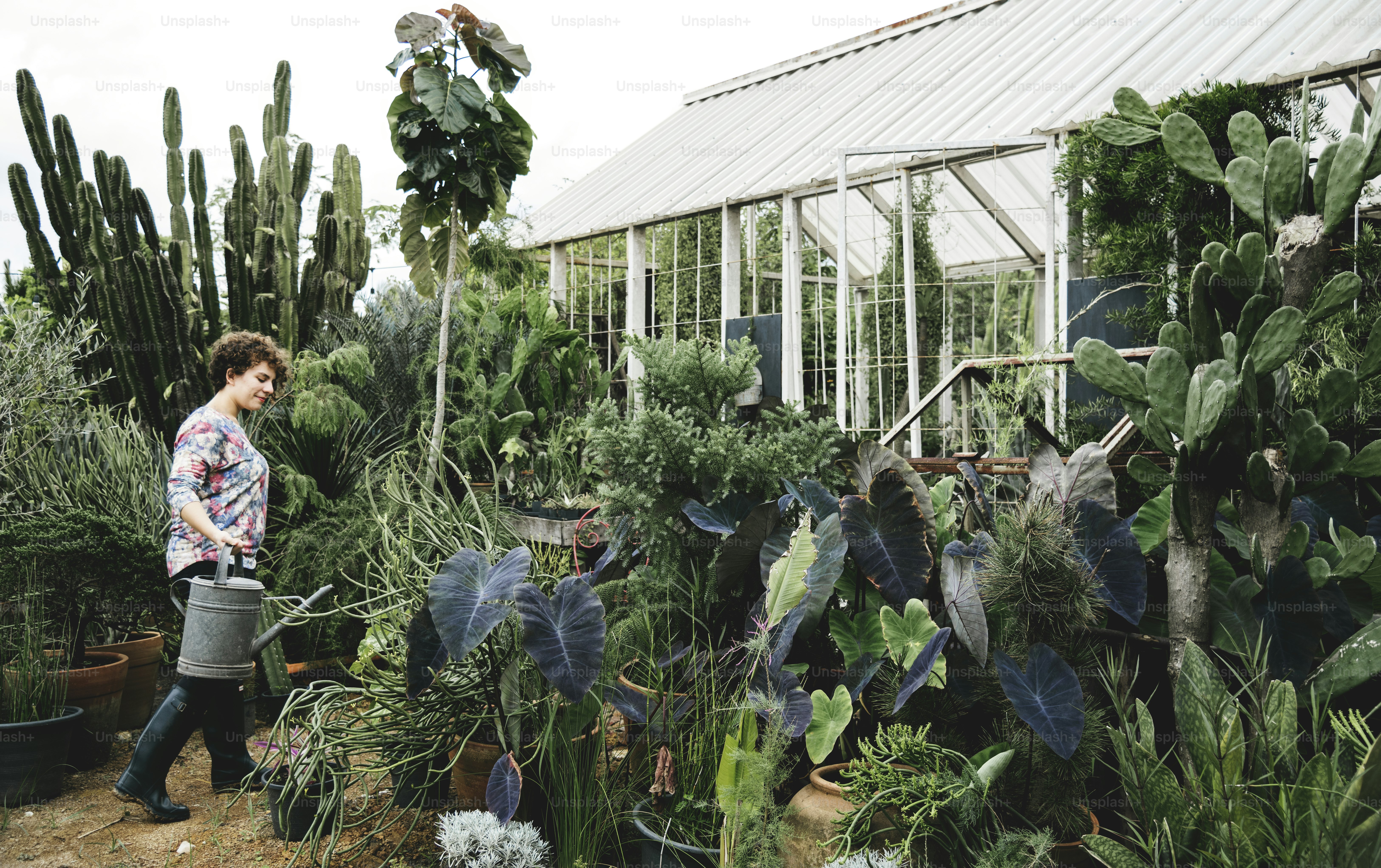 Woman gardening in a greenhouse