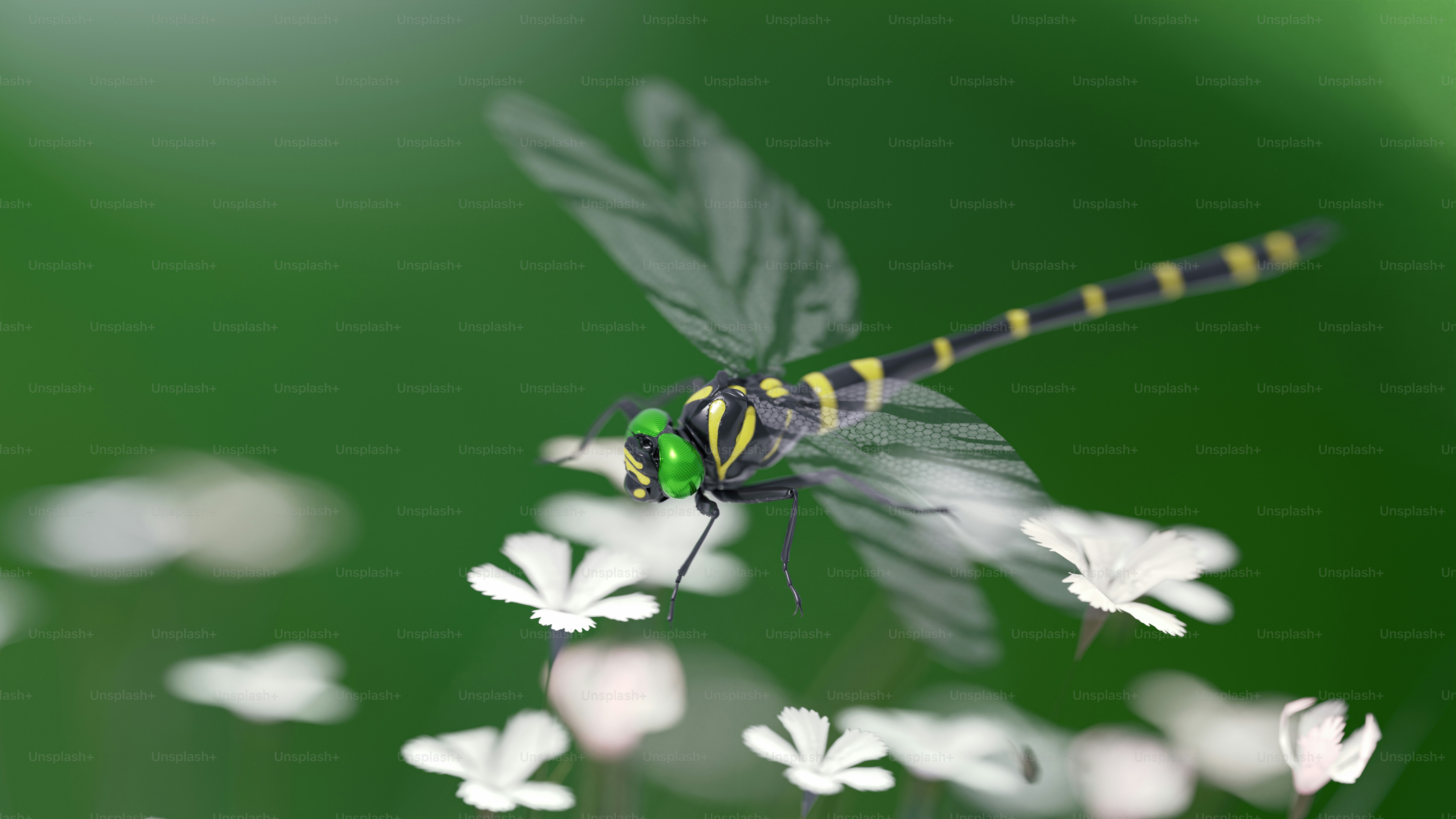 A dragon flys through a field of lavender flowers photo – Animal Image ...