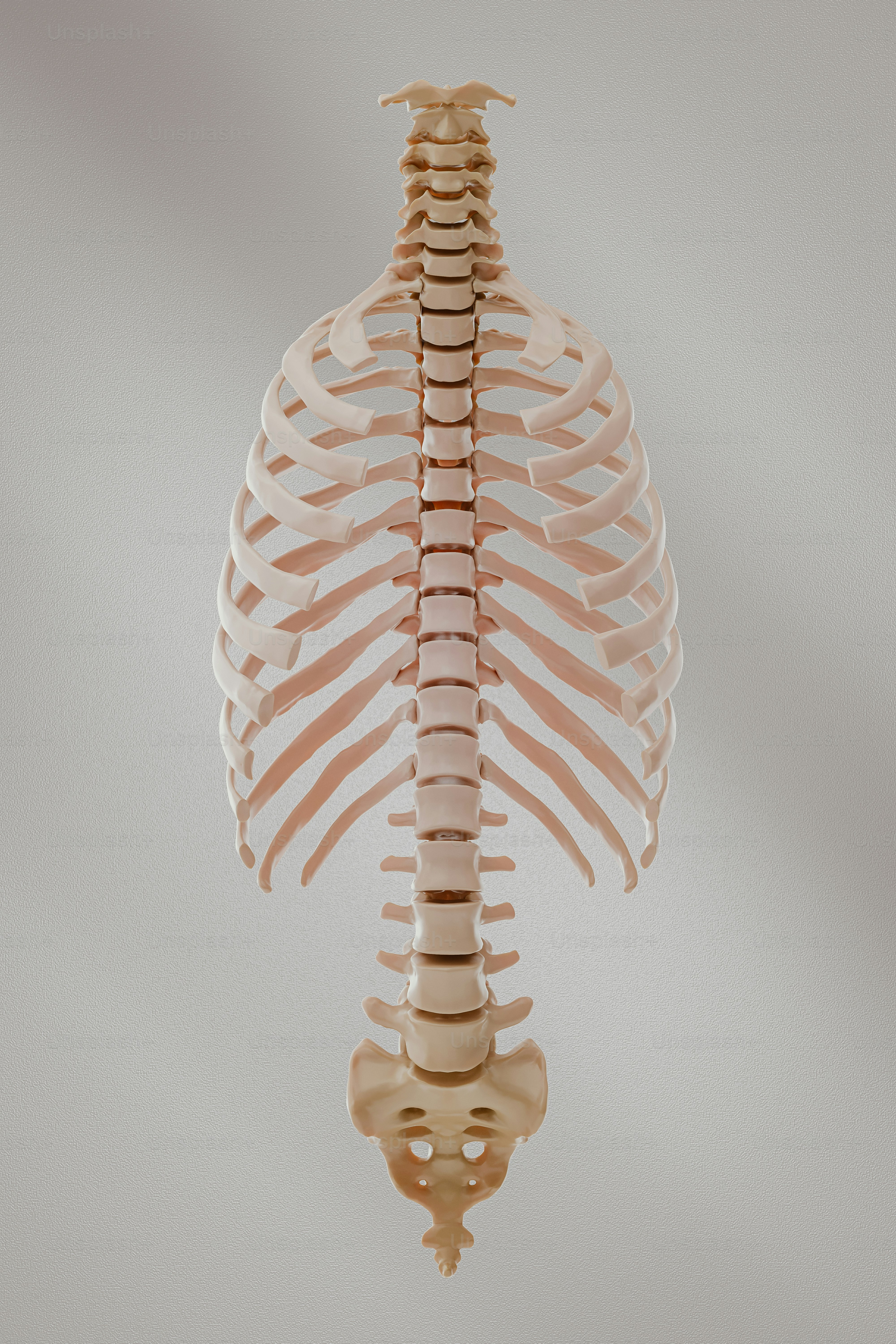 A skeleton hanging from a ceiling in a room