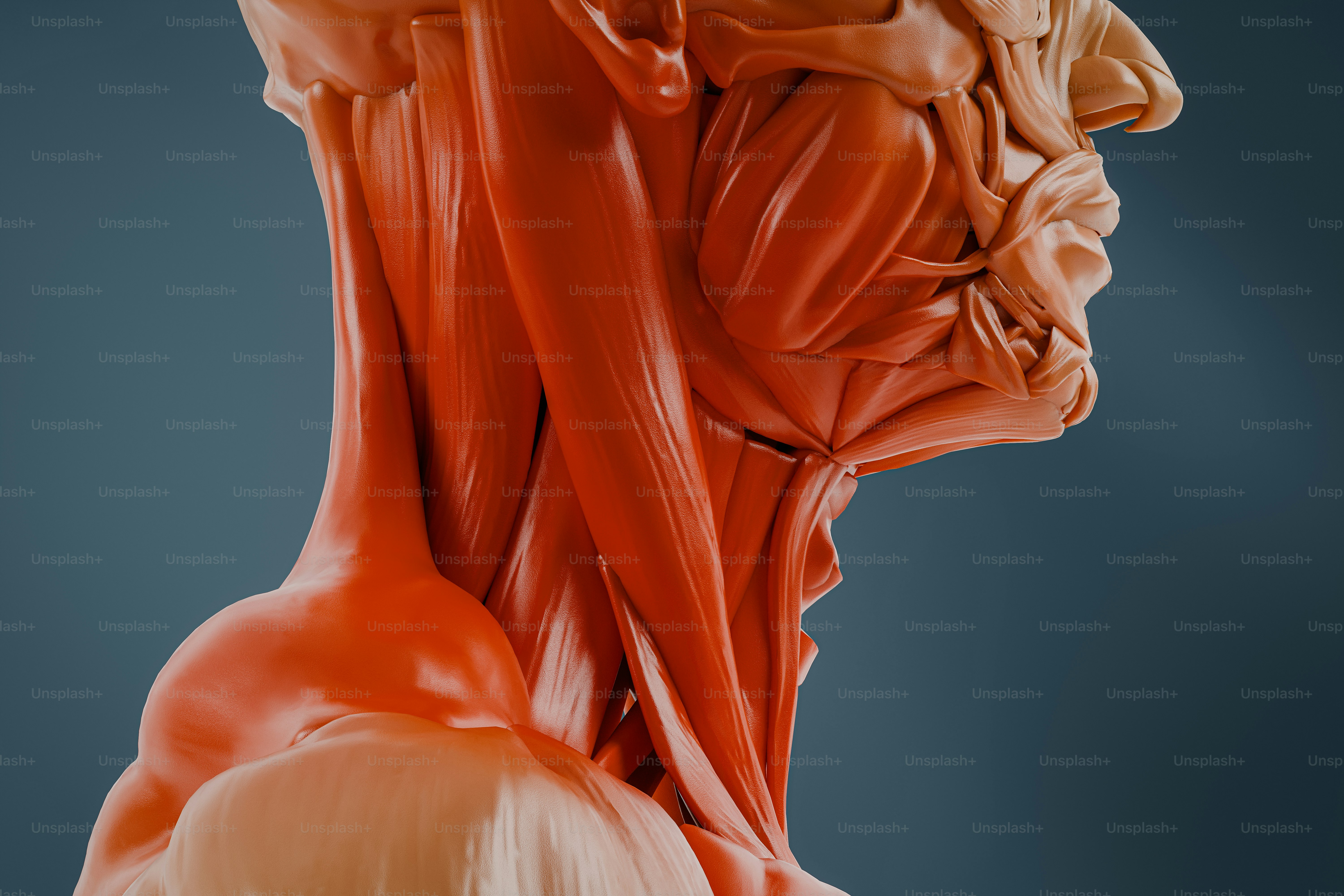 Nahaufnahme einer Statue eines Männerkopfes