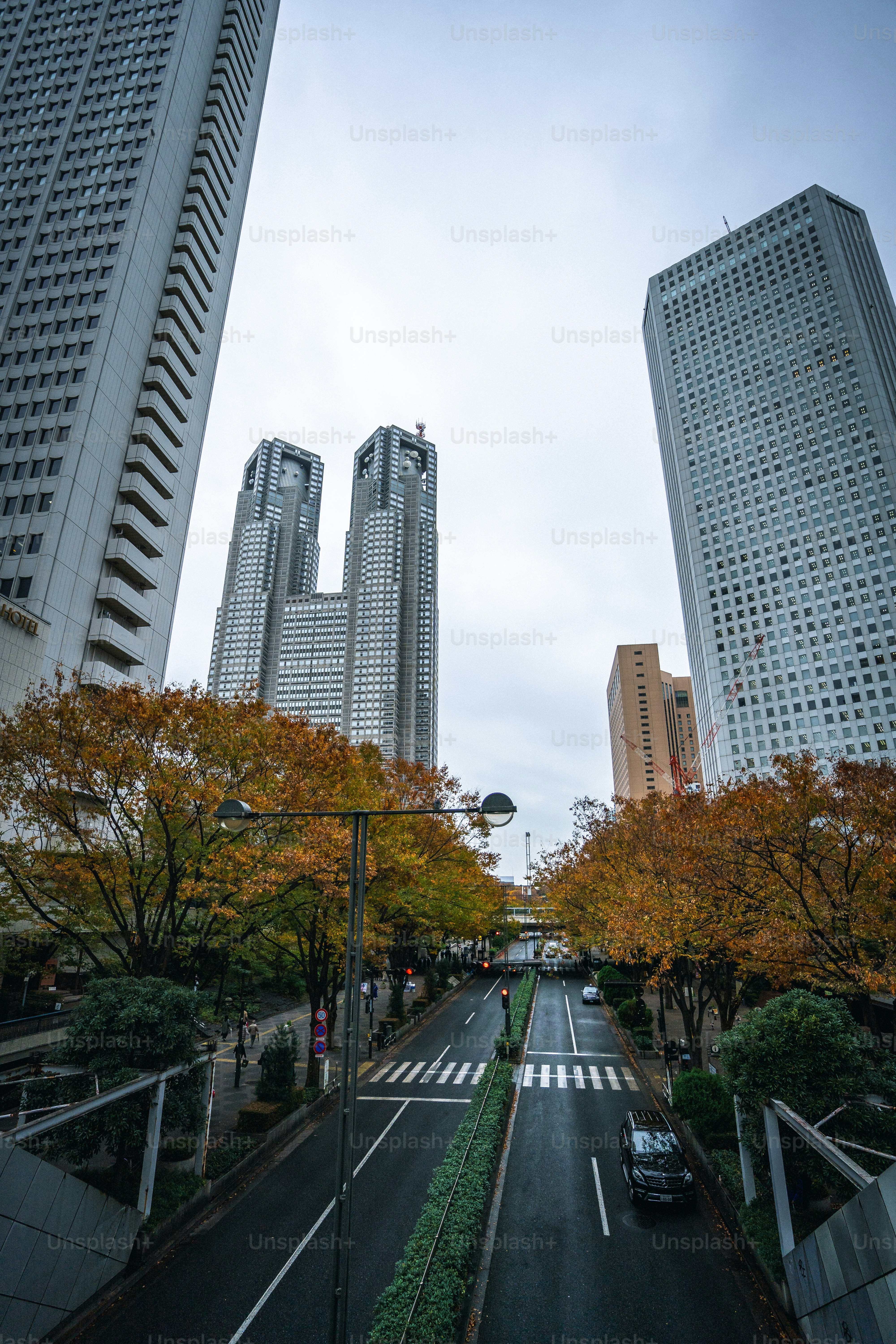 A city street with tall buildings in the background