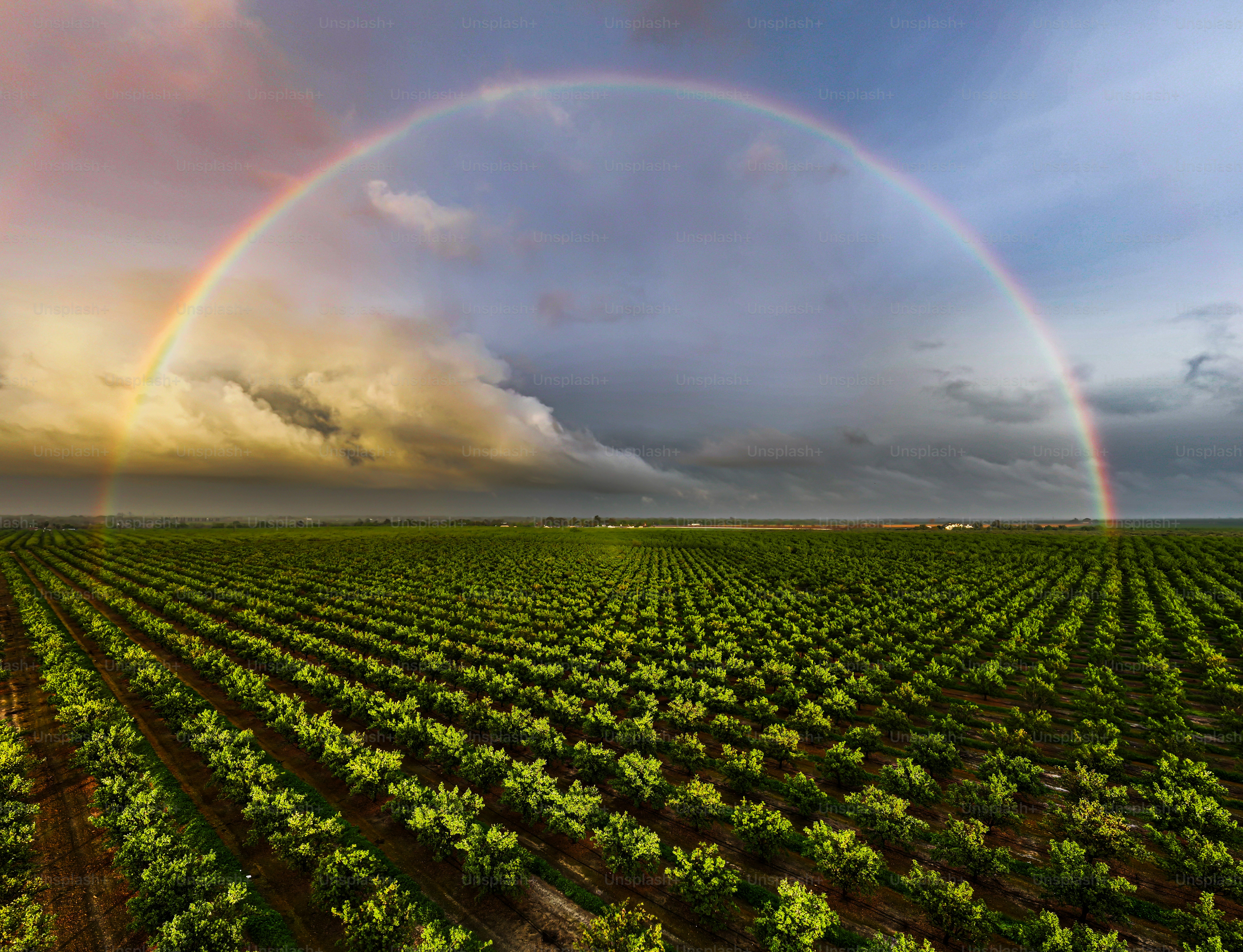 A double rainbow over a large green field