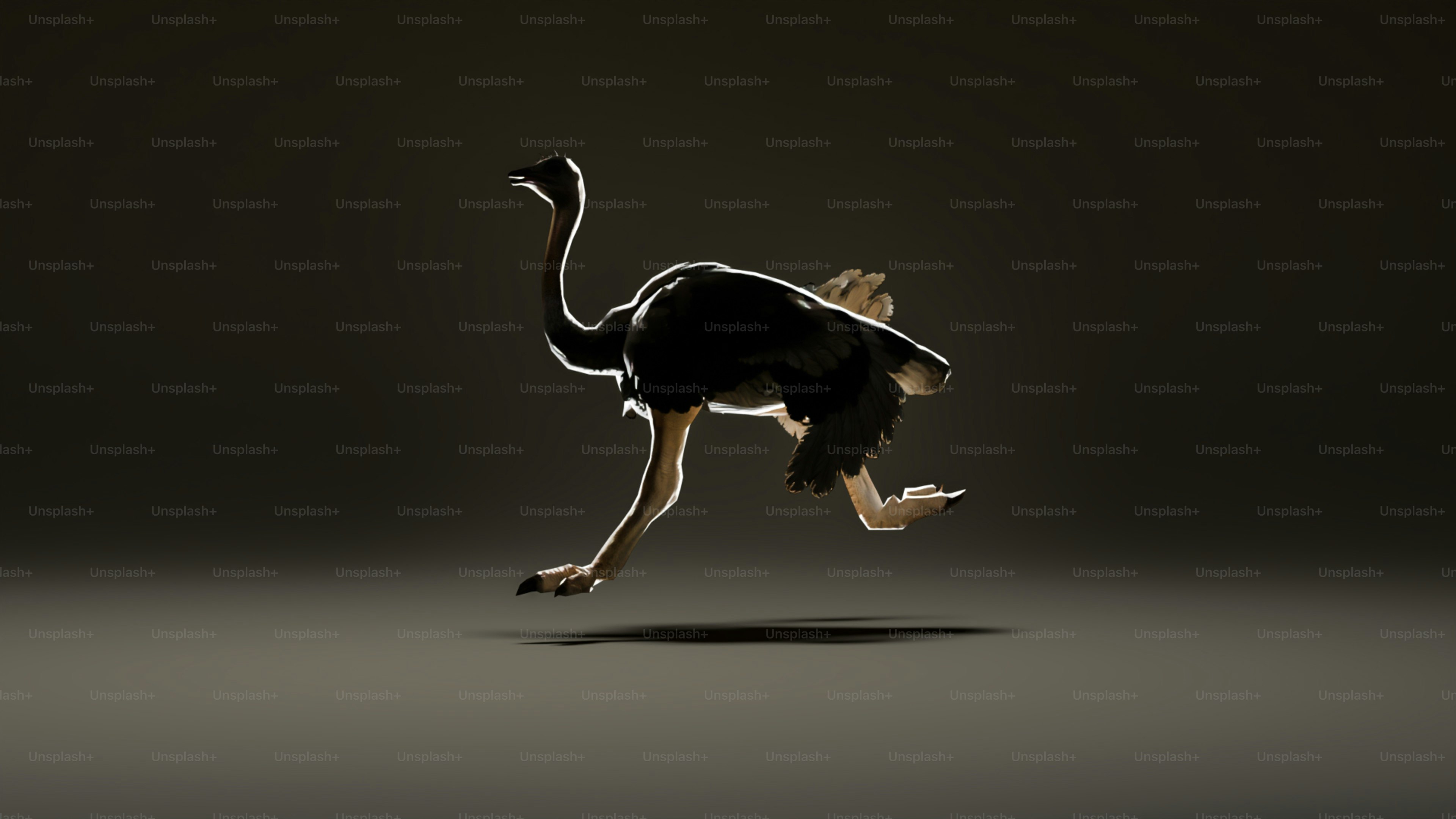 An ostrich running in the dark on a dark background