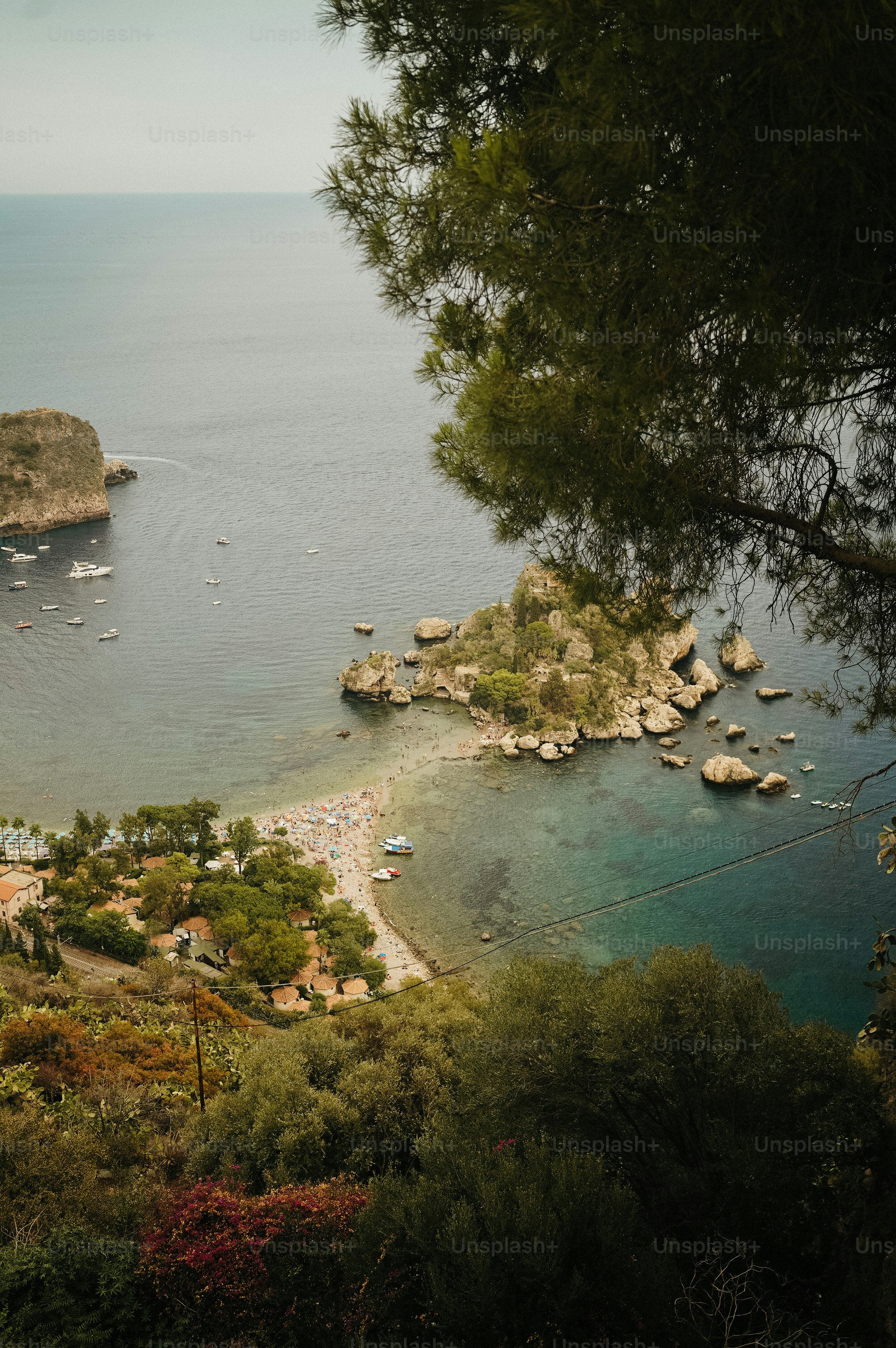 A small island surrounded by trees and water