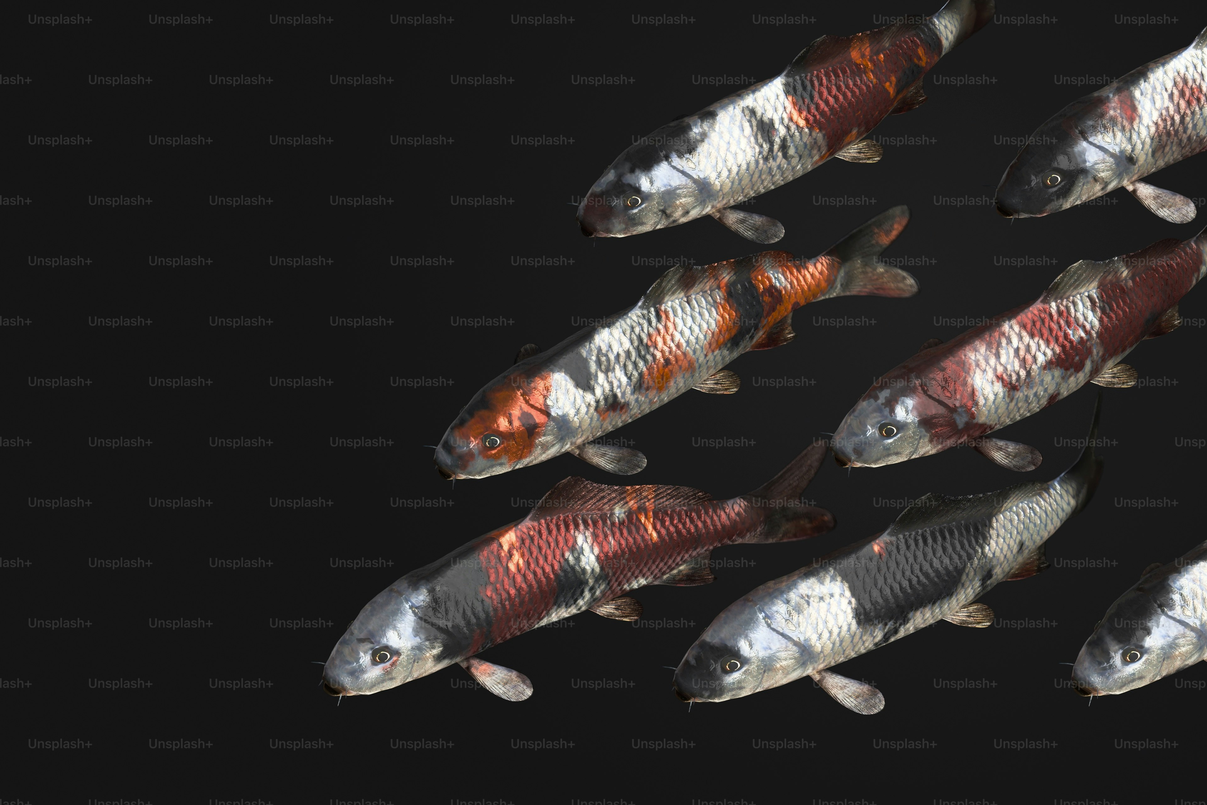 premium_photo-1722943661727-c2b8880cf800?ixid=M3wxMjA3fDB8MXxzZWFyY2h8MXx8dGVtYmFrJTIwaWthbiUyMGphY2twb3QlMjBpbmlmdW44OHxlbnwwfHx8fDE3NjgyMzE0NDZ8MA\u0026ixlib=rb-4.1.0