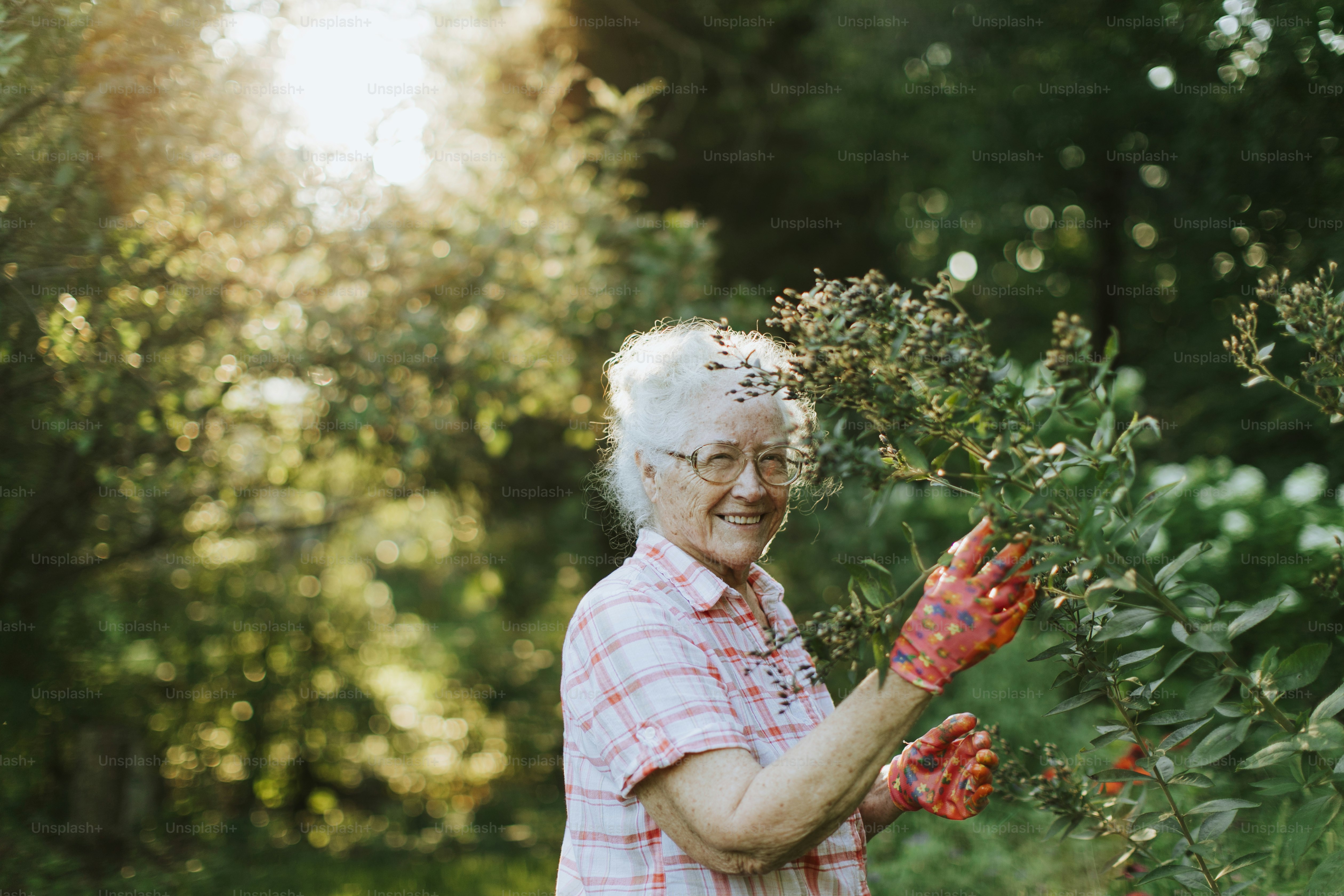 Senior woman tending to the flowers in her garden