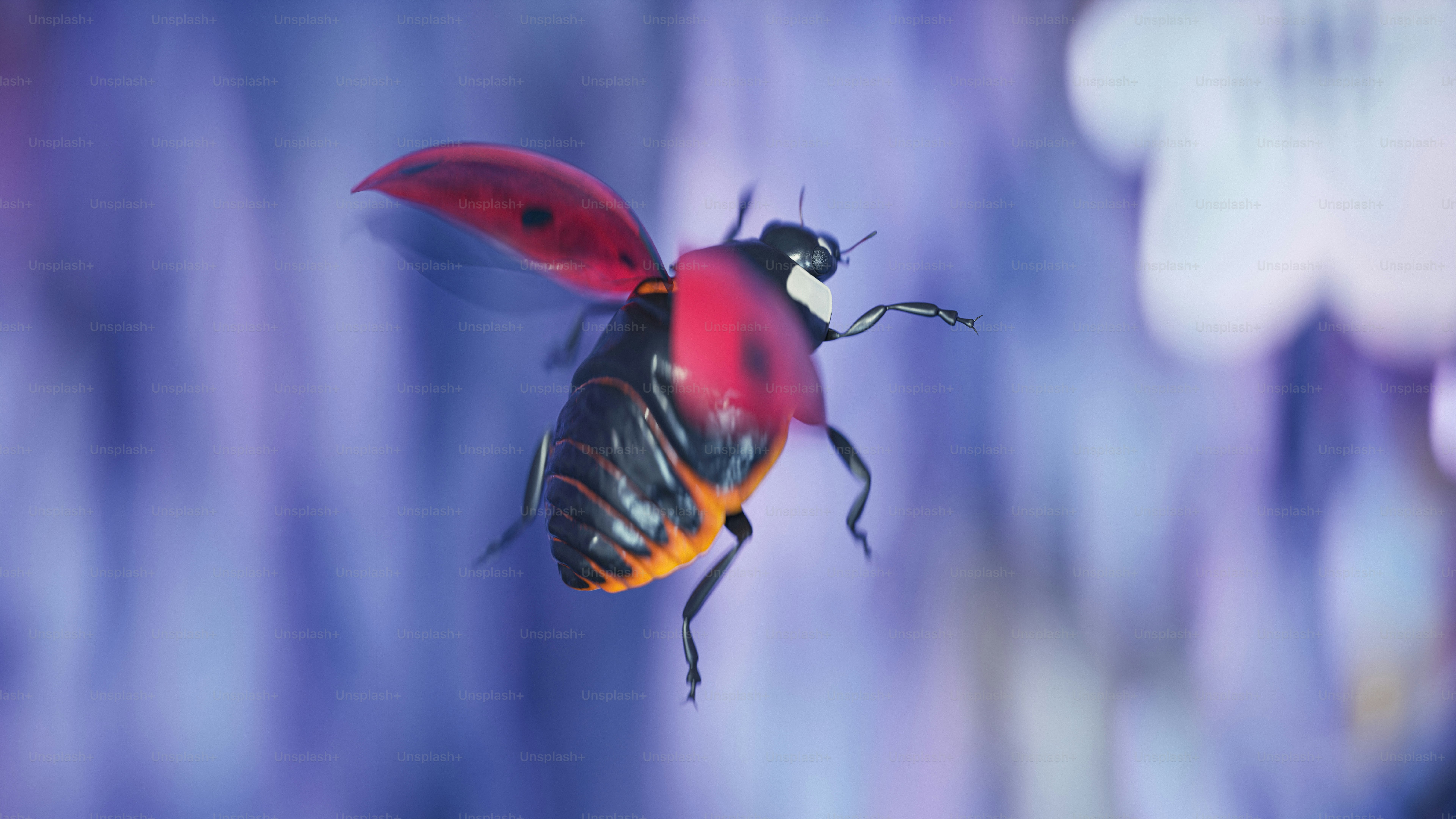赤と黒の昆虫が空を飛ぶの写真 – Unsplashの動物の画像