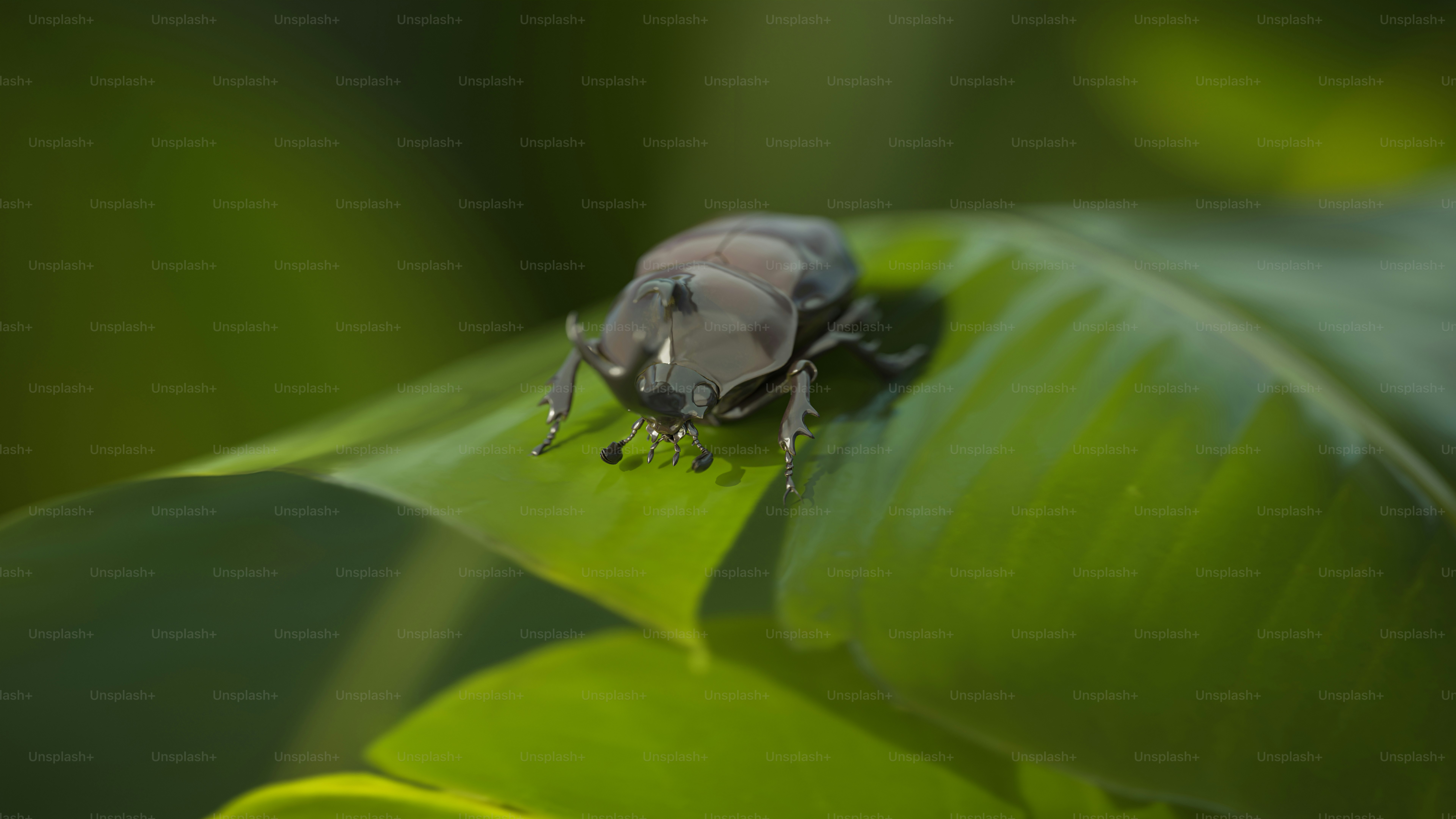 A bug sitting on top of a green leaf