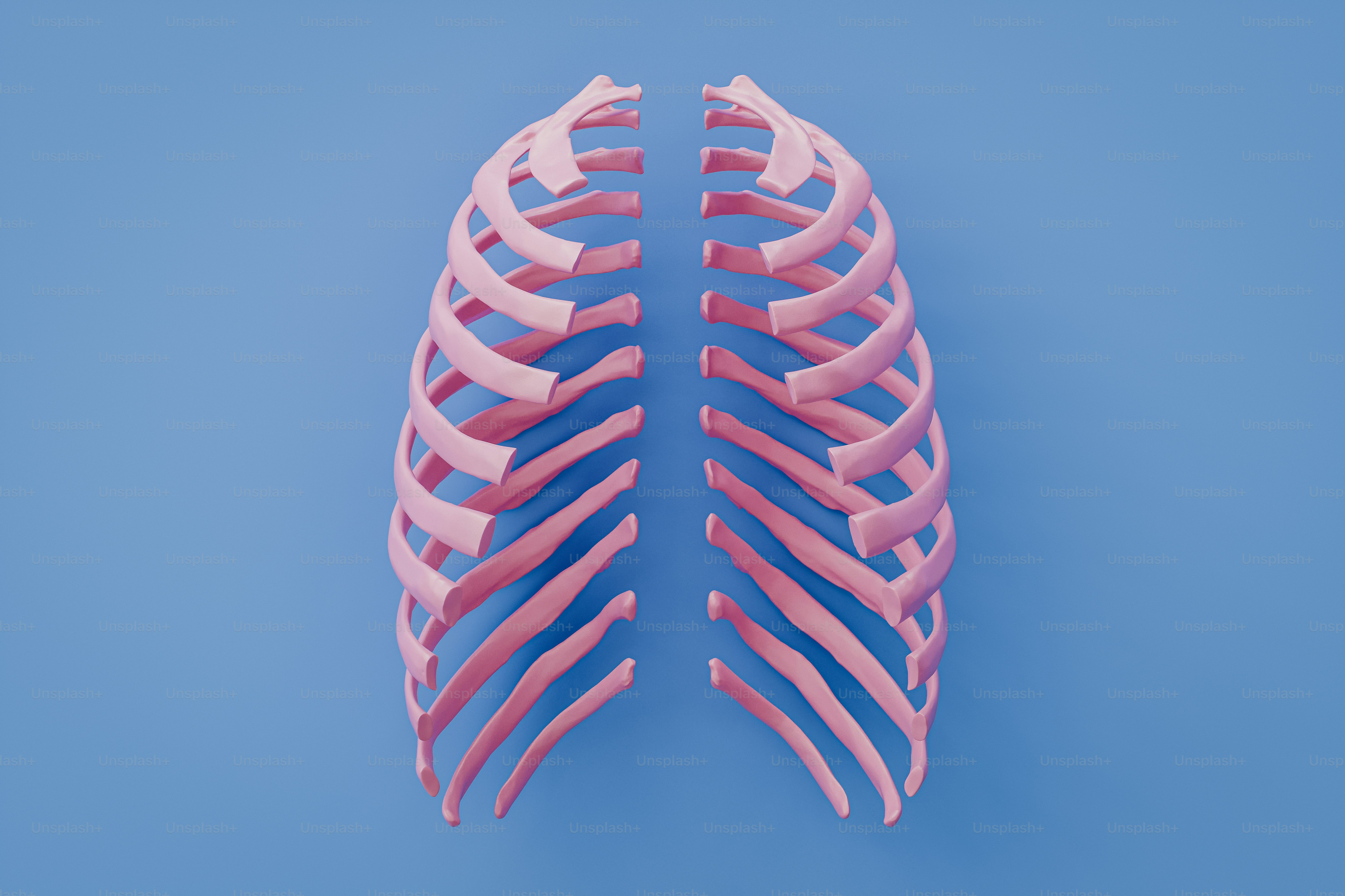 A pink skeleton on a blue background