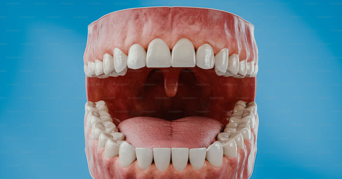 A close up of a mouth with teeth photo – Art Image on Unsplash