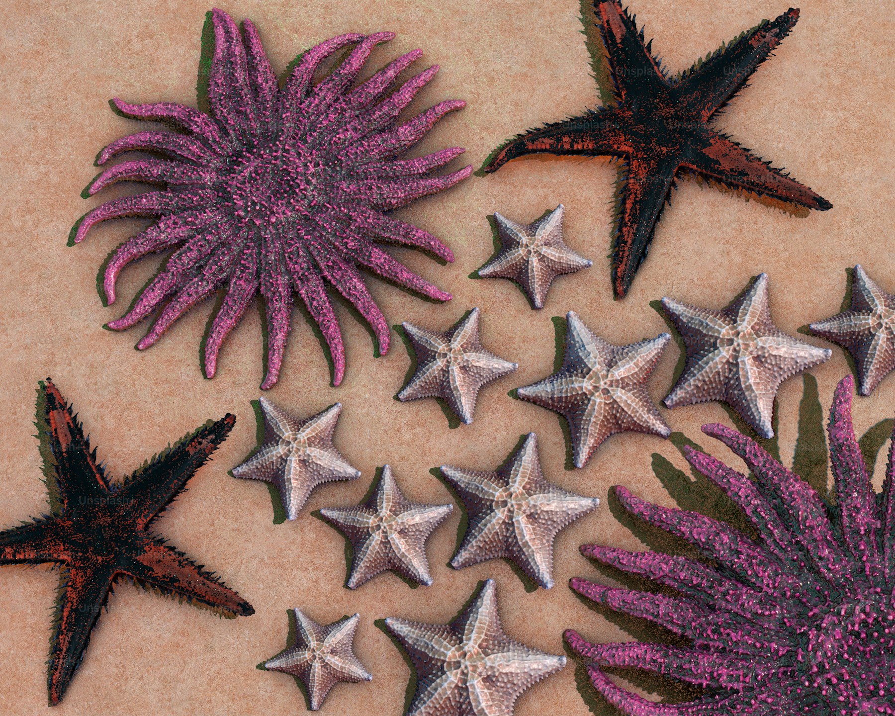 The Henna Client Journey Map: From First Click to Five-Star Review