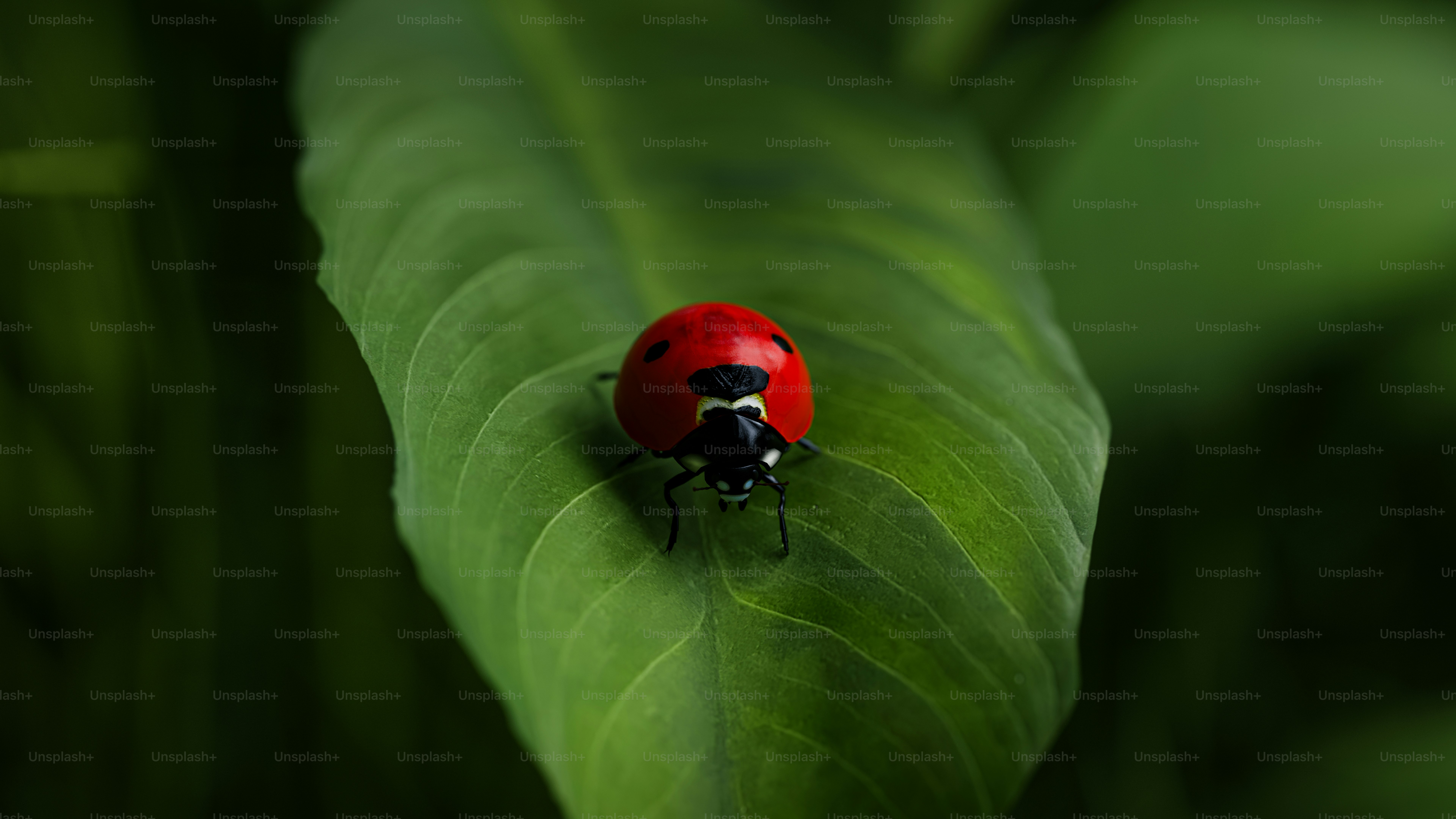 A lady bug sitting on top of a green leaf