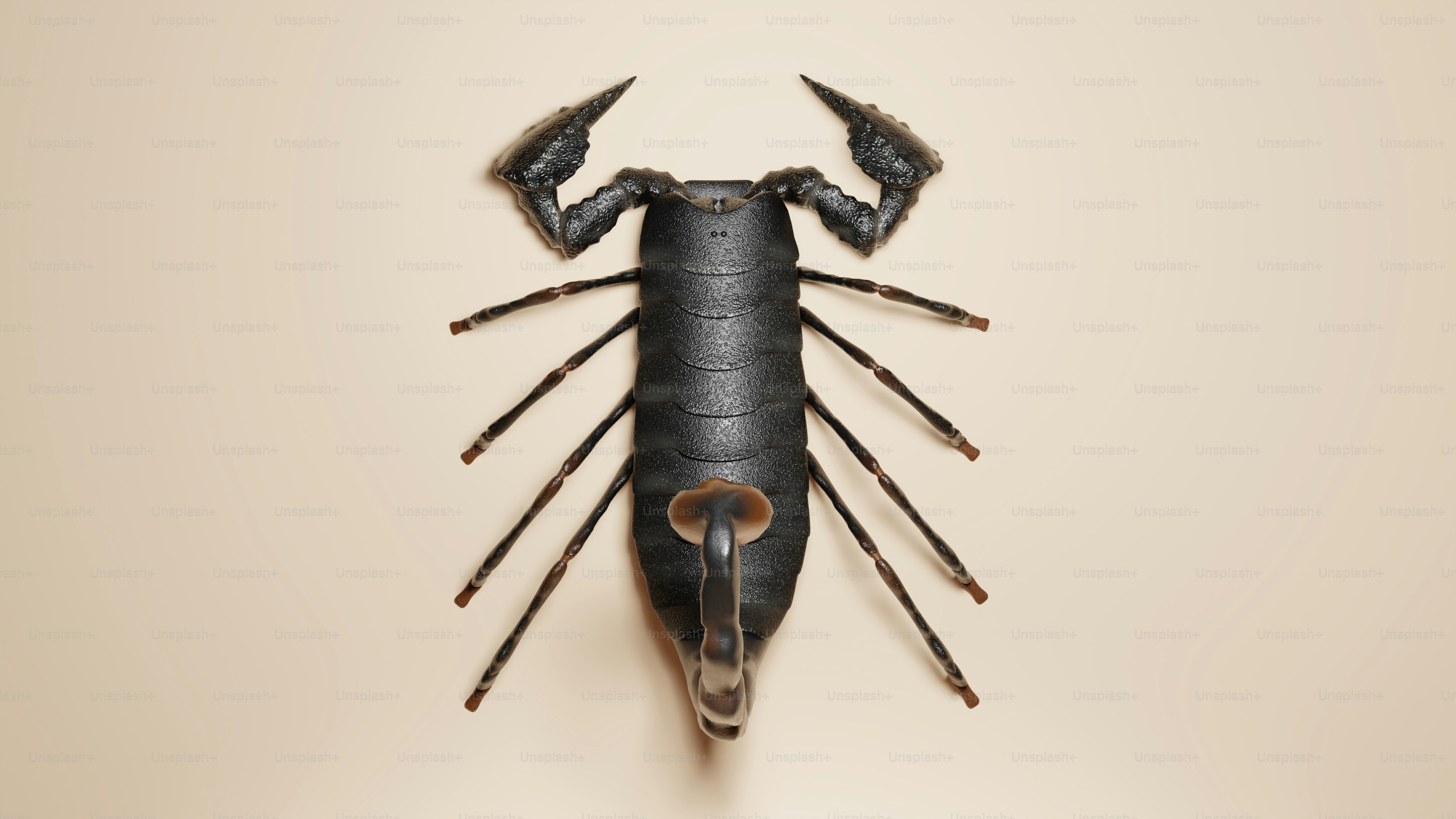 premium_photo-1723018769570-8b5d9ca9d0f3?ixid=M3wxMjA3fDB8MXxzZWFyY2h8MTN8fGJ1eSUyMGJ1ZyUyMHphcHBlcnxlbnwwfHx8fDE3NTY4OTk4Mjh8MA\u0026ixlib=rb-4.1.0