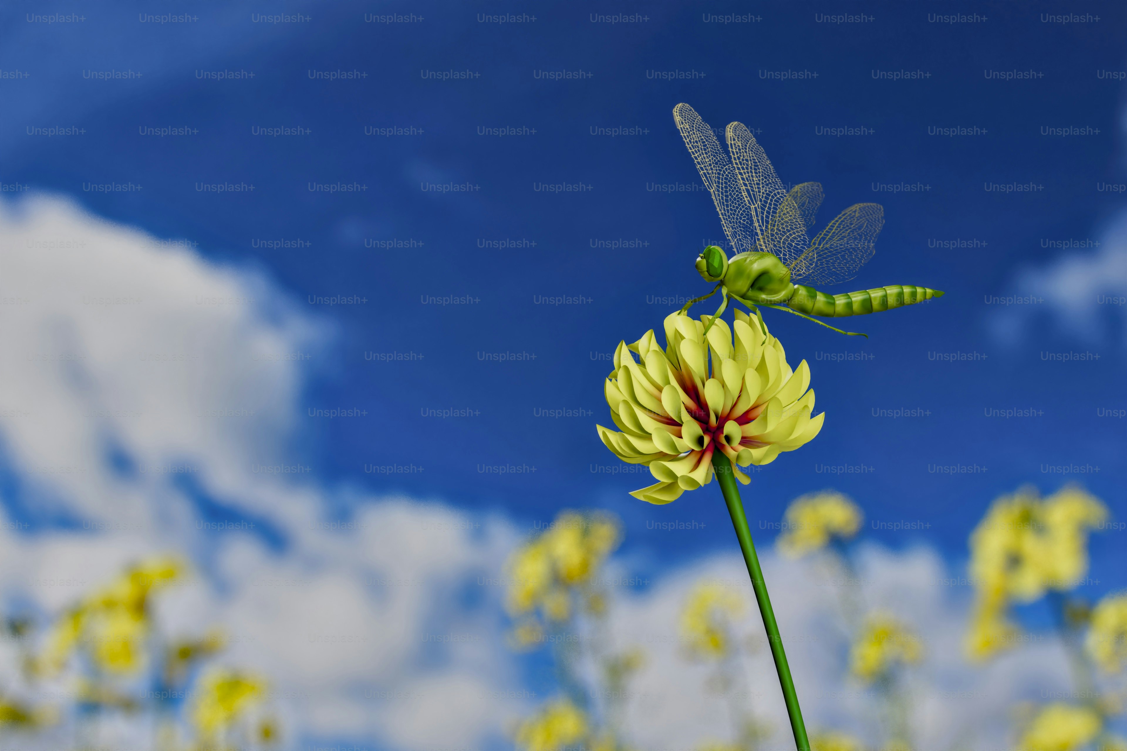 A dragonfly sitting on top of a yellow flower