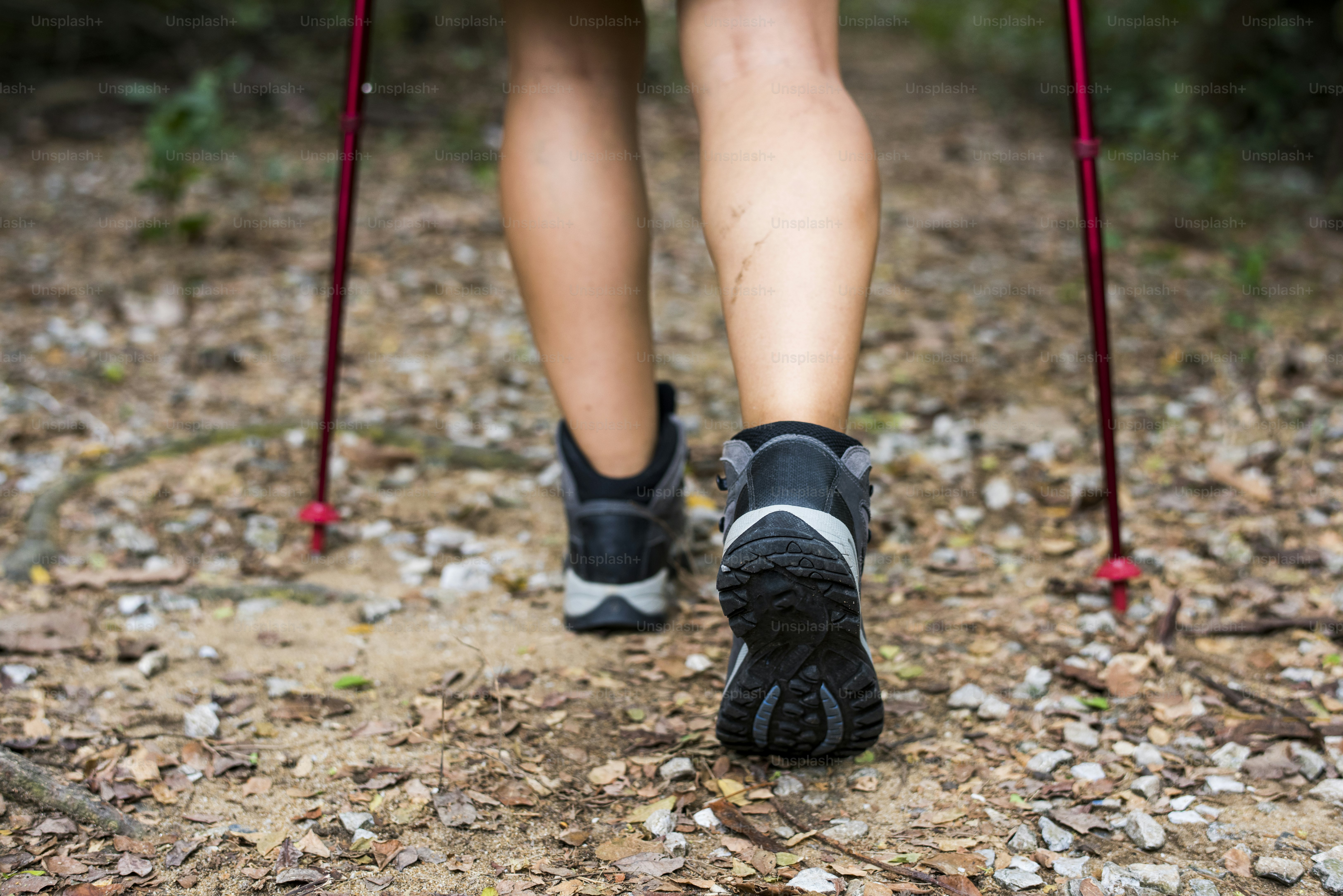 Trekking im Wald