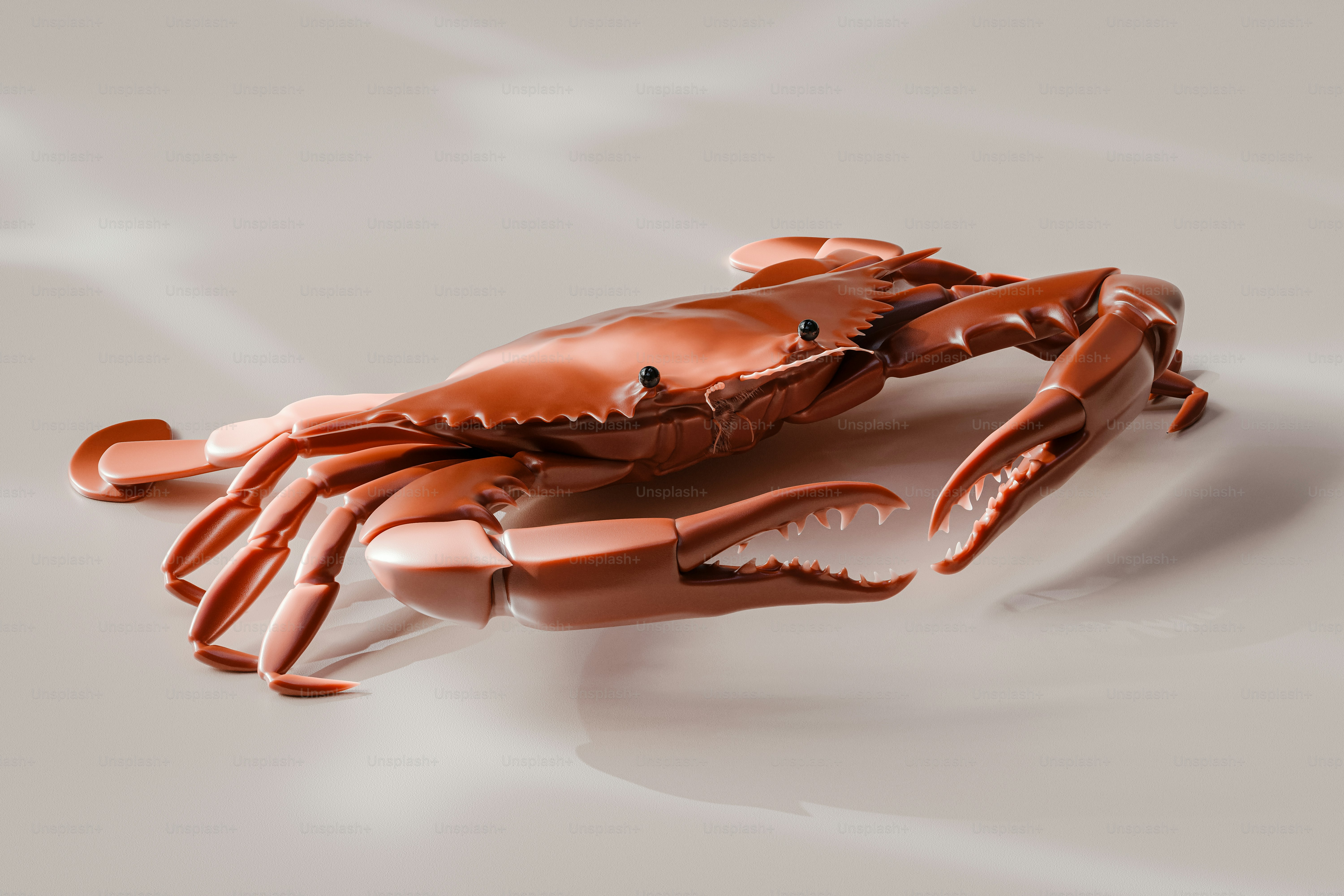 A close up of a crab on a table
