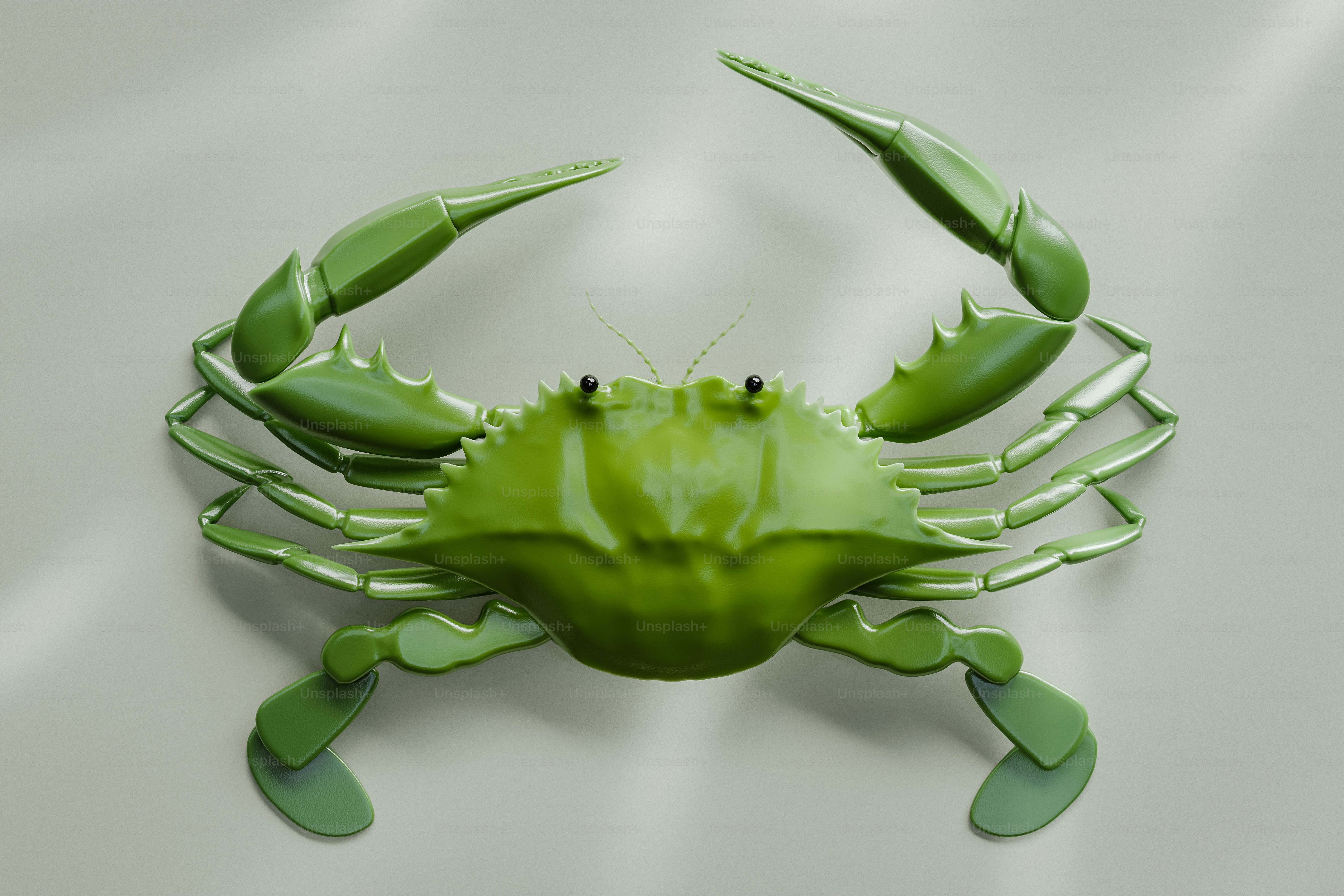 Top view of the green crab. 3D render.