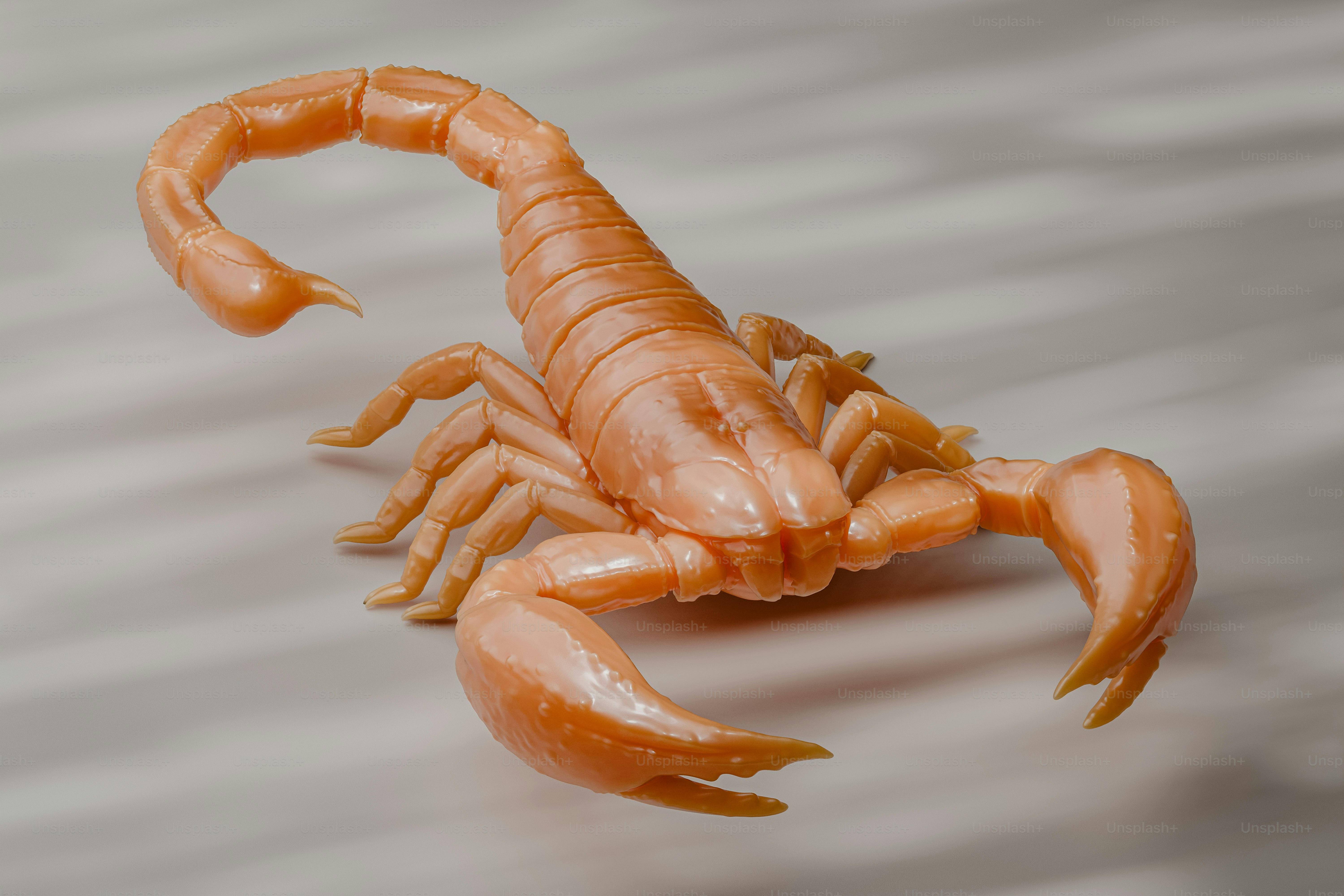 A close up of a scorpion on a table