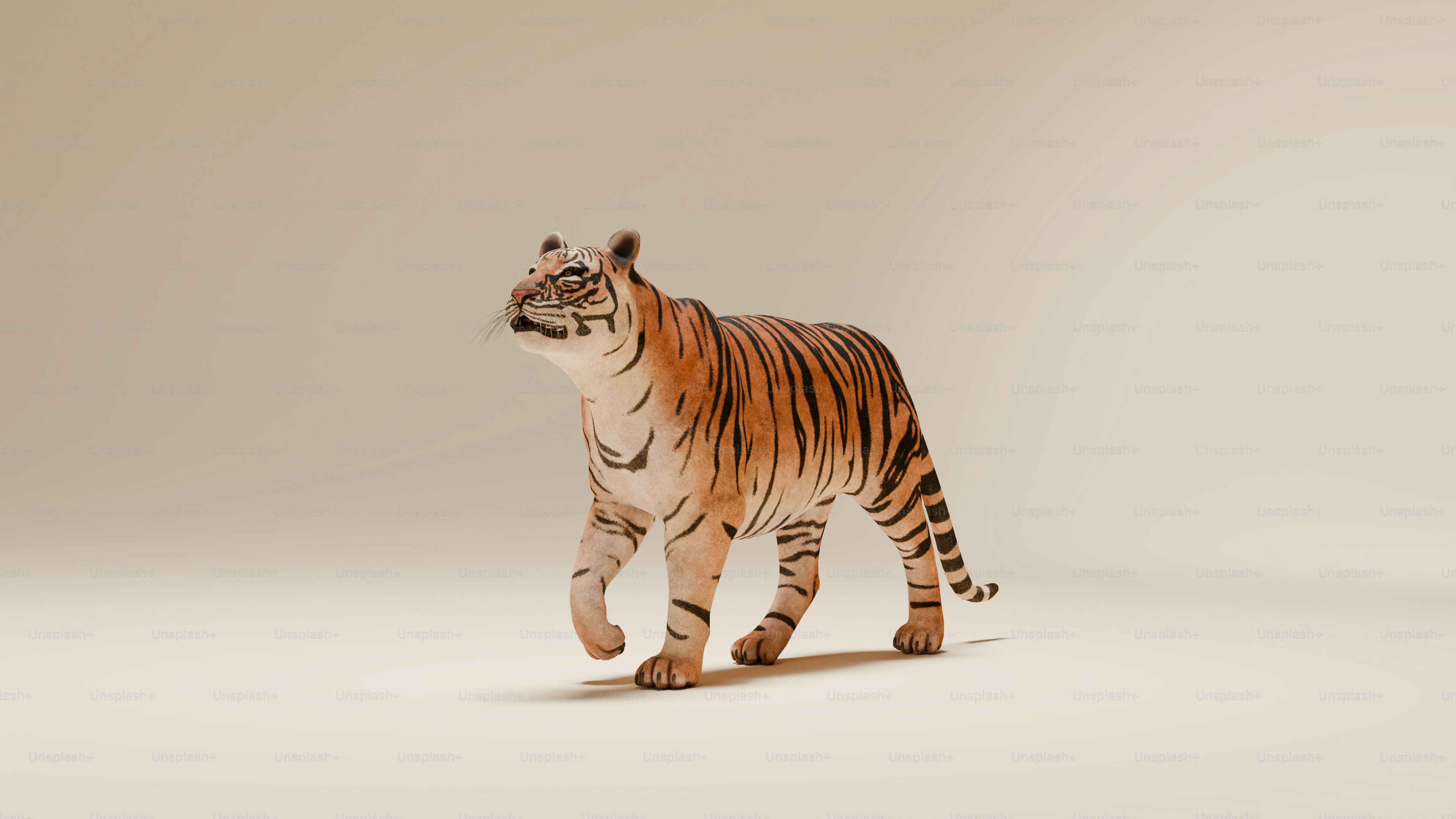 The tiger is one of the most gorgeous creatures on earth, and dedicated Unsplash photographers have ventured into the jungle and captured tigers in all of their glory. You can use these tiger images for free, no need for a jungle visit!