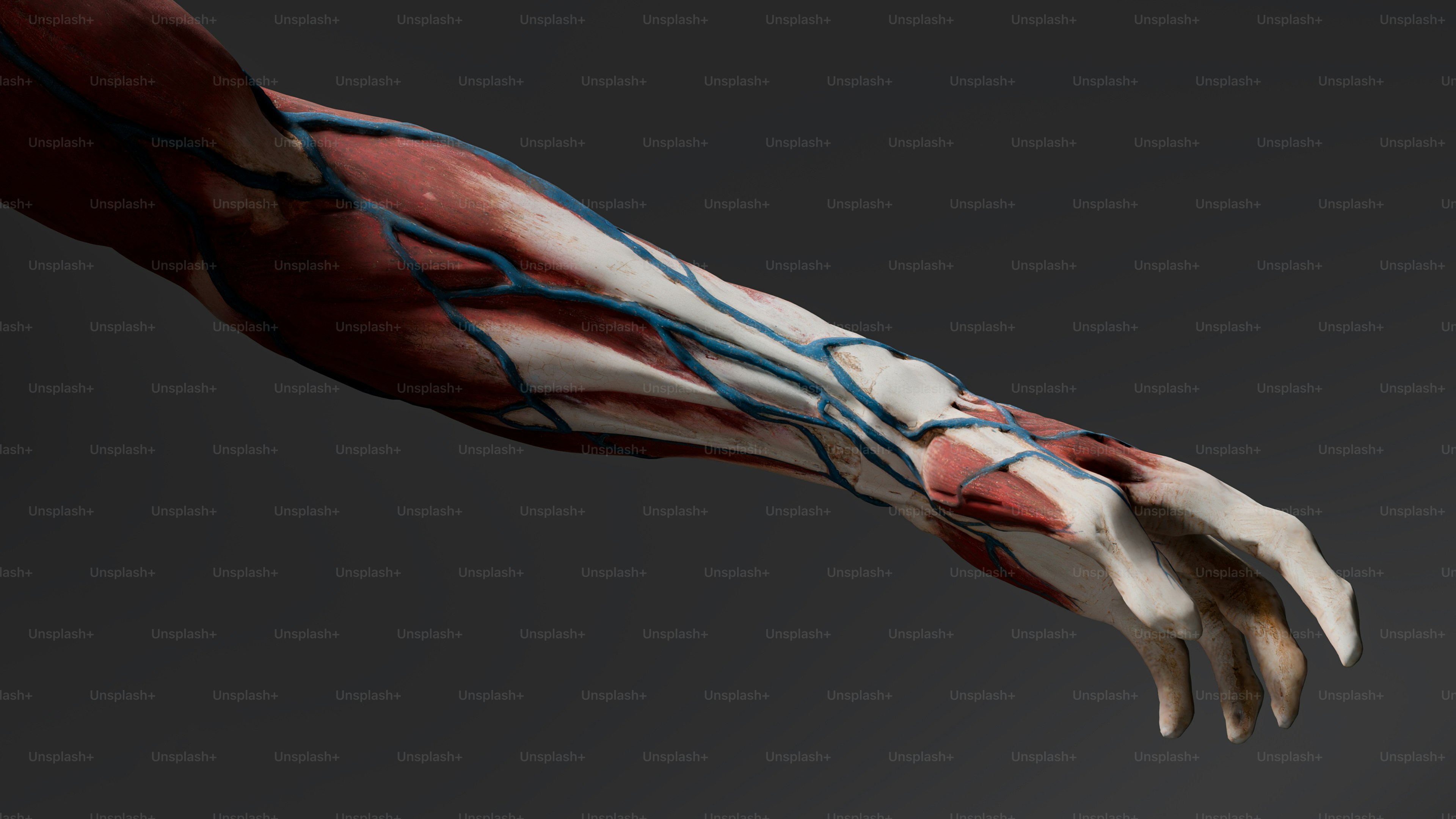 A hand with a blood vein on it