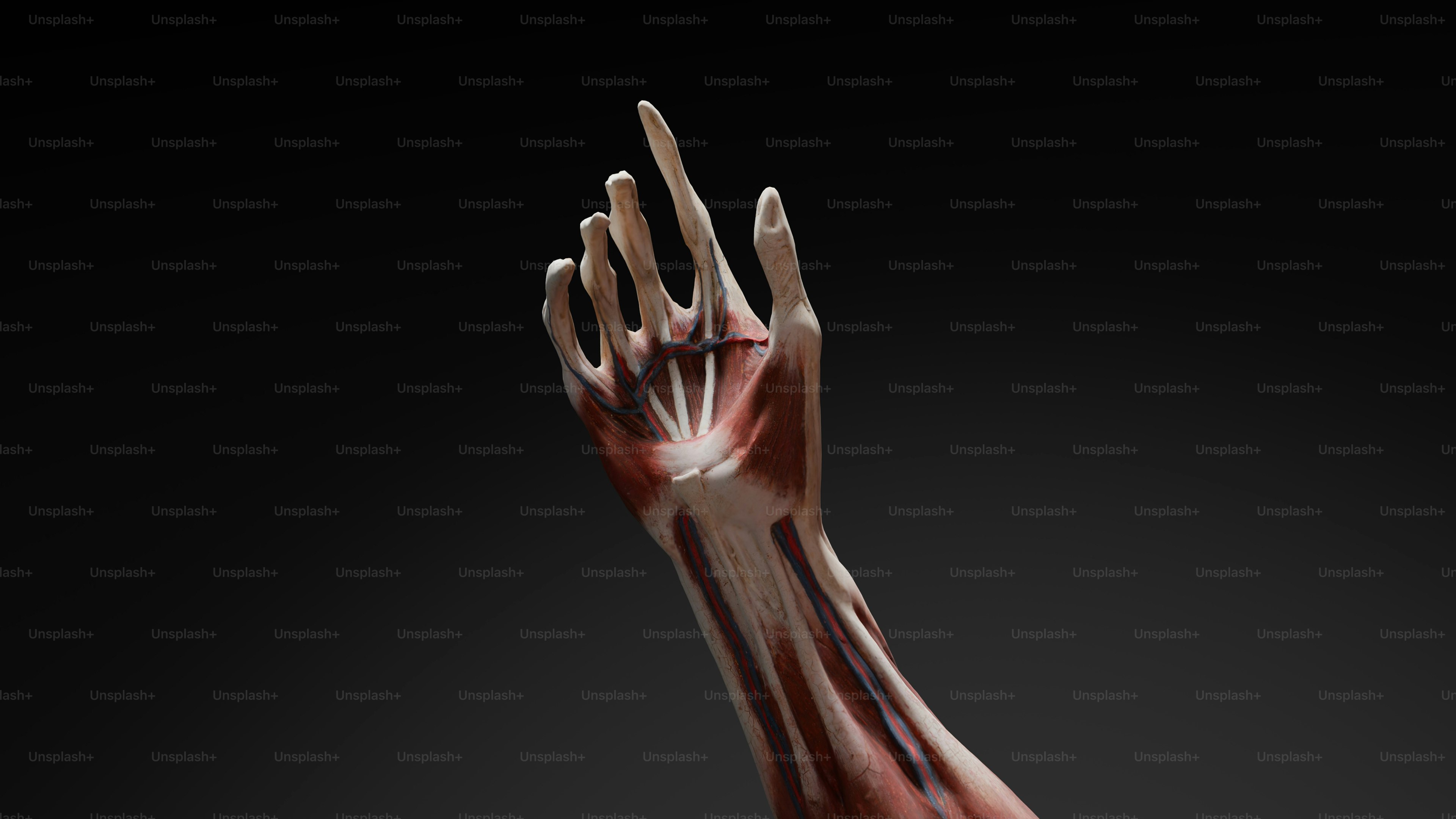 A hand that is holding something up in the air