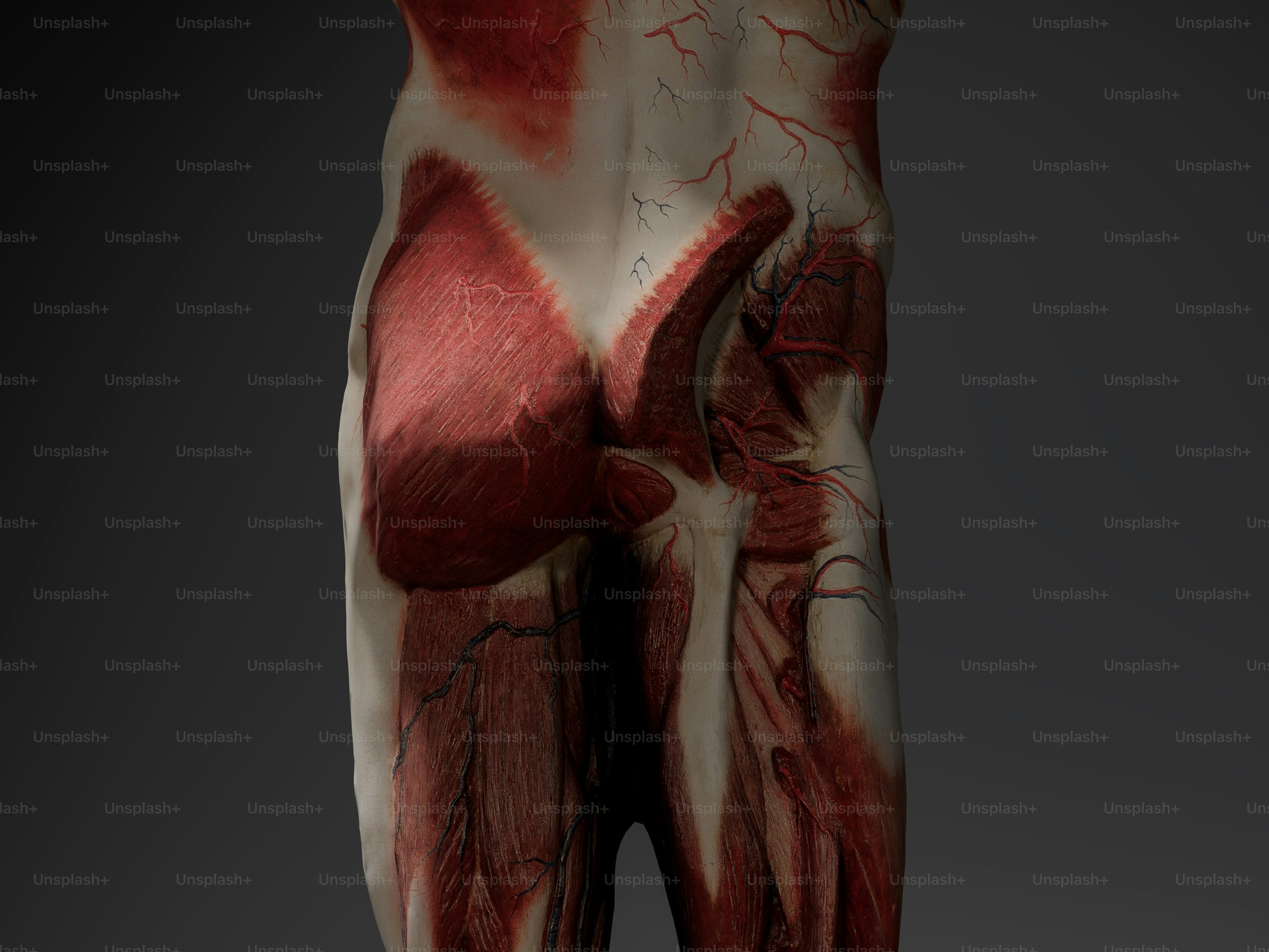 A 3D image of a leg with a vein on it