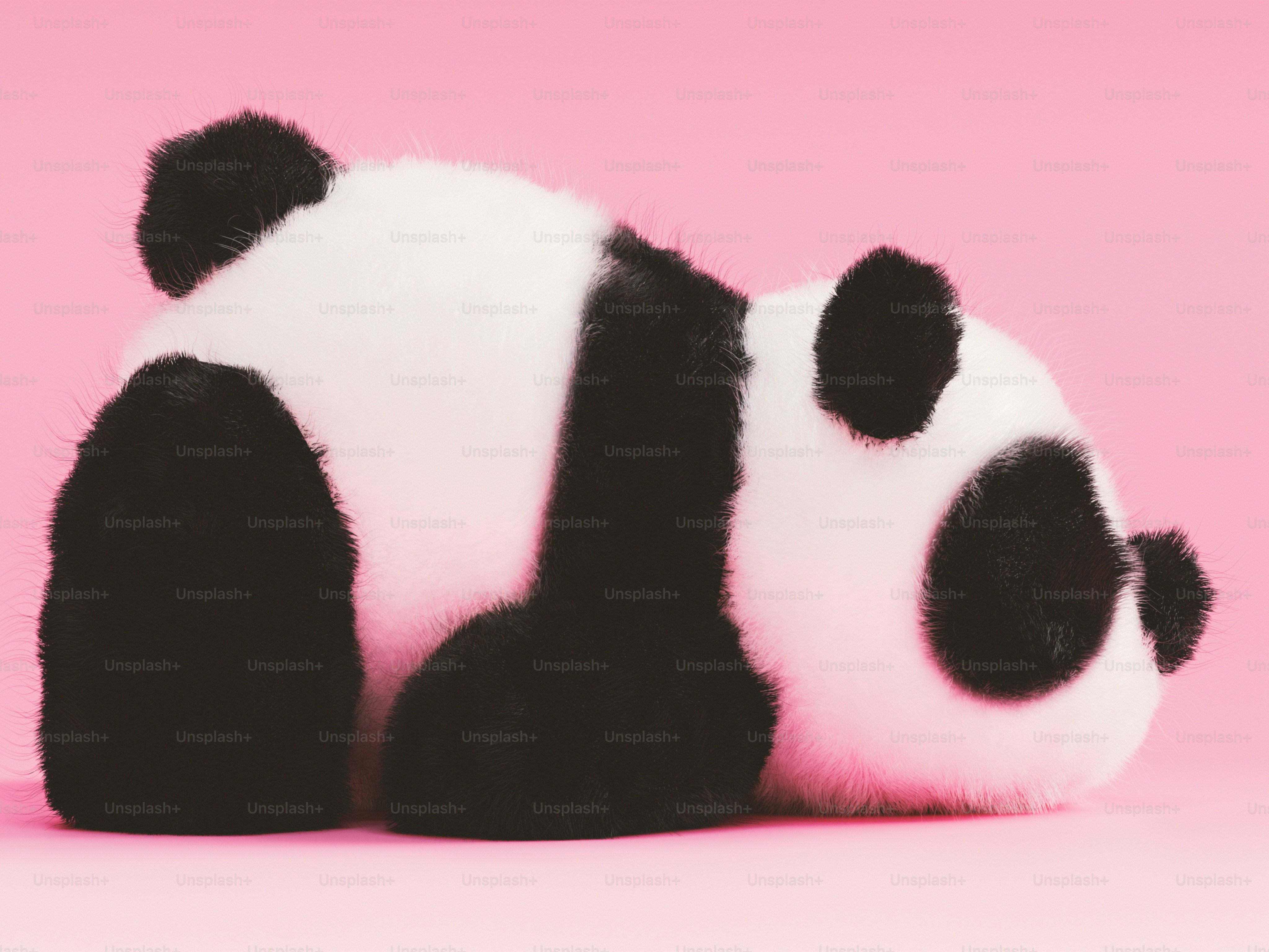 Imágenes de Fondo De Pantalla De Panda | Descarga imágenes gratuitas en  Unsplash, image size:3000x2250