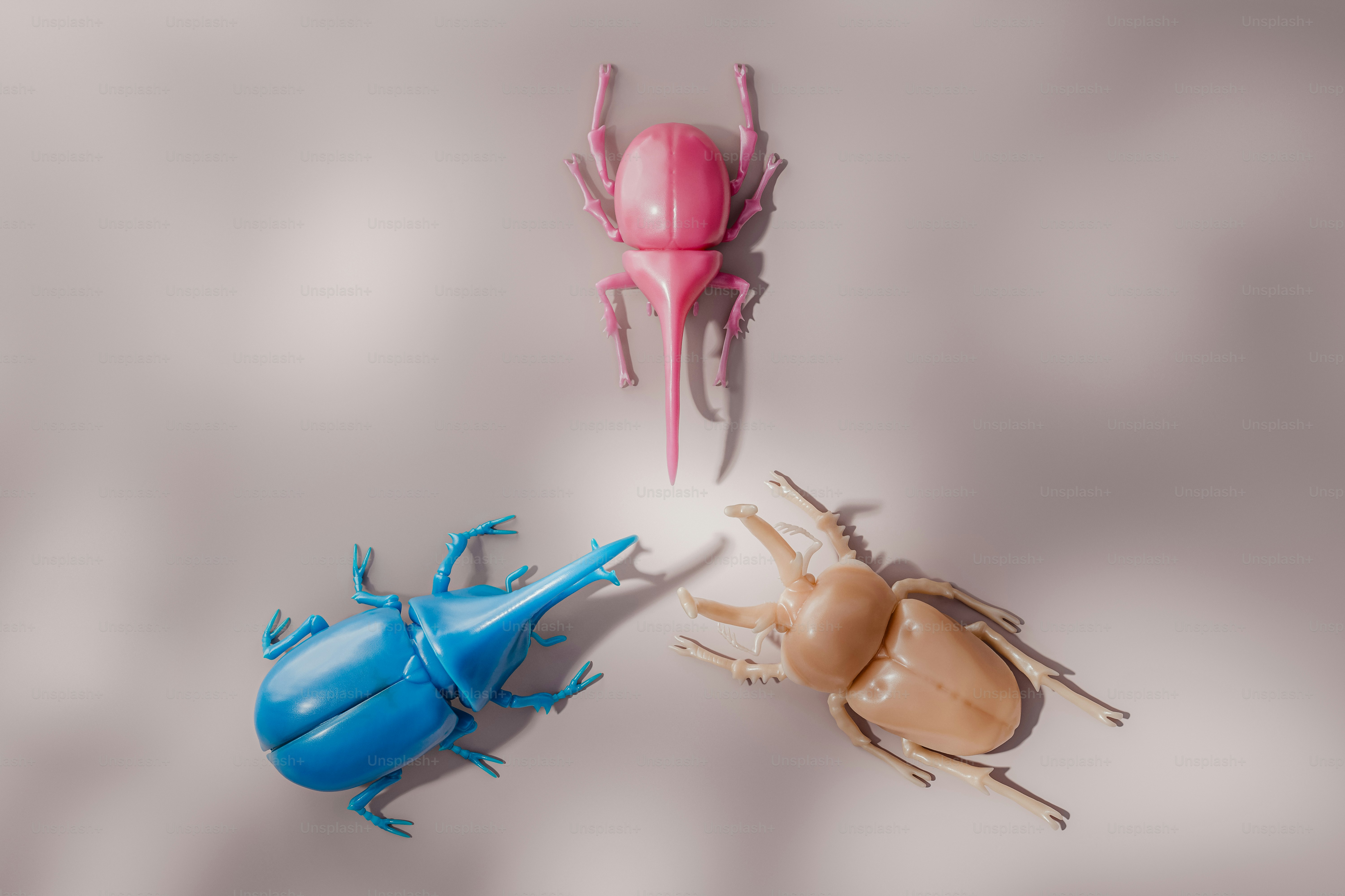 A group of four different colored bugs on a white background photo ...