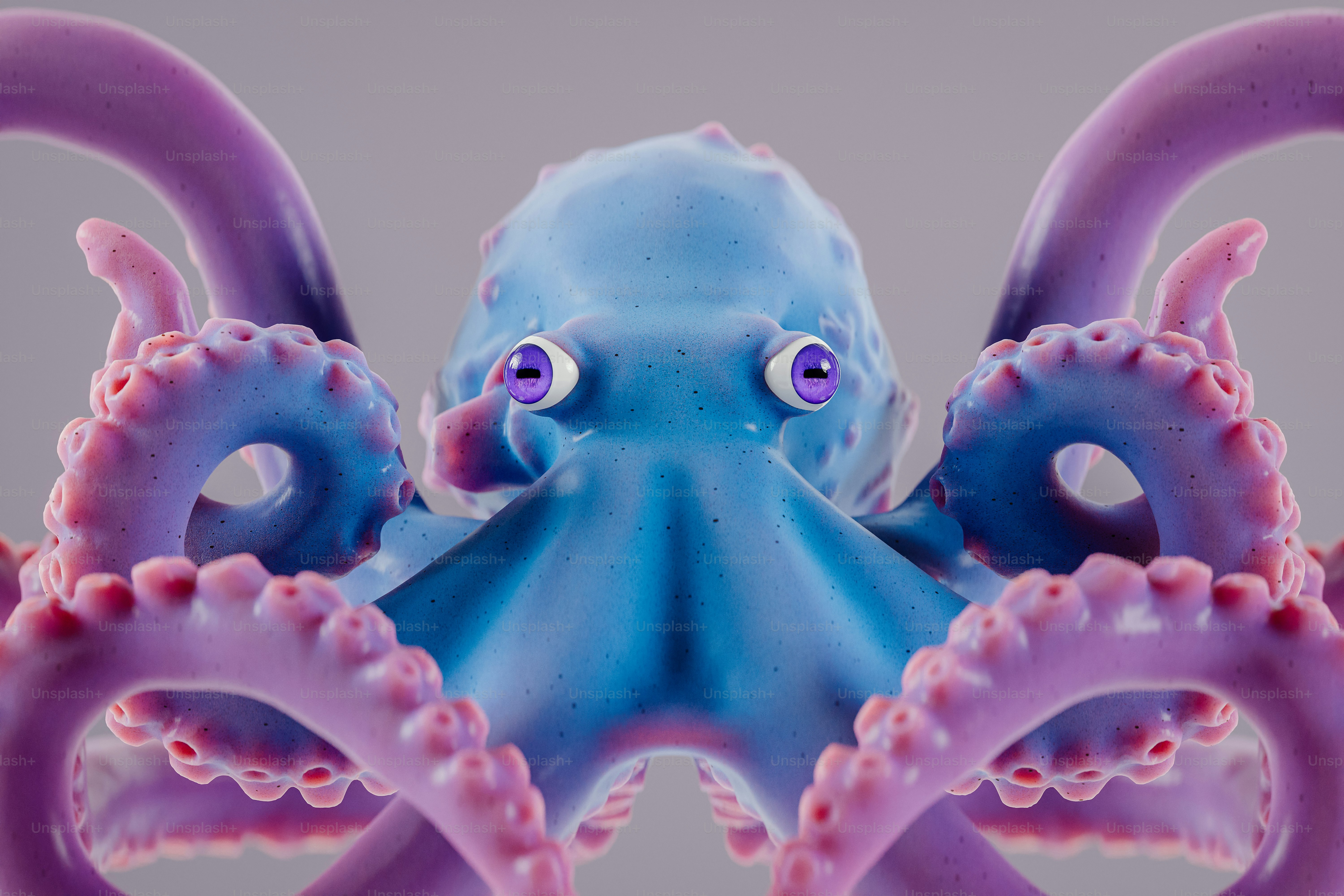 Octopus API