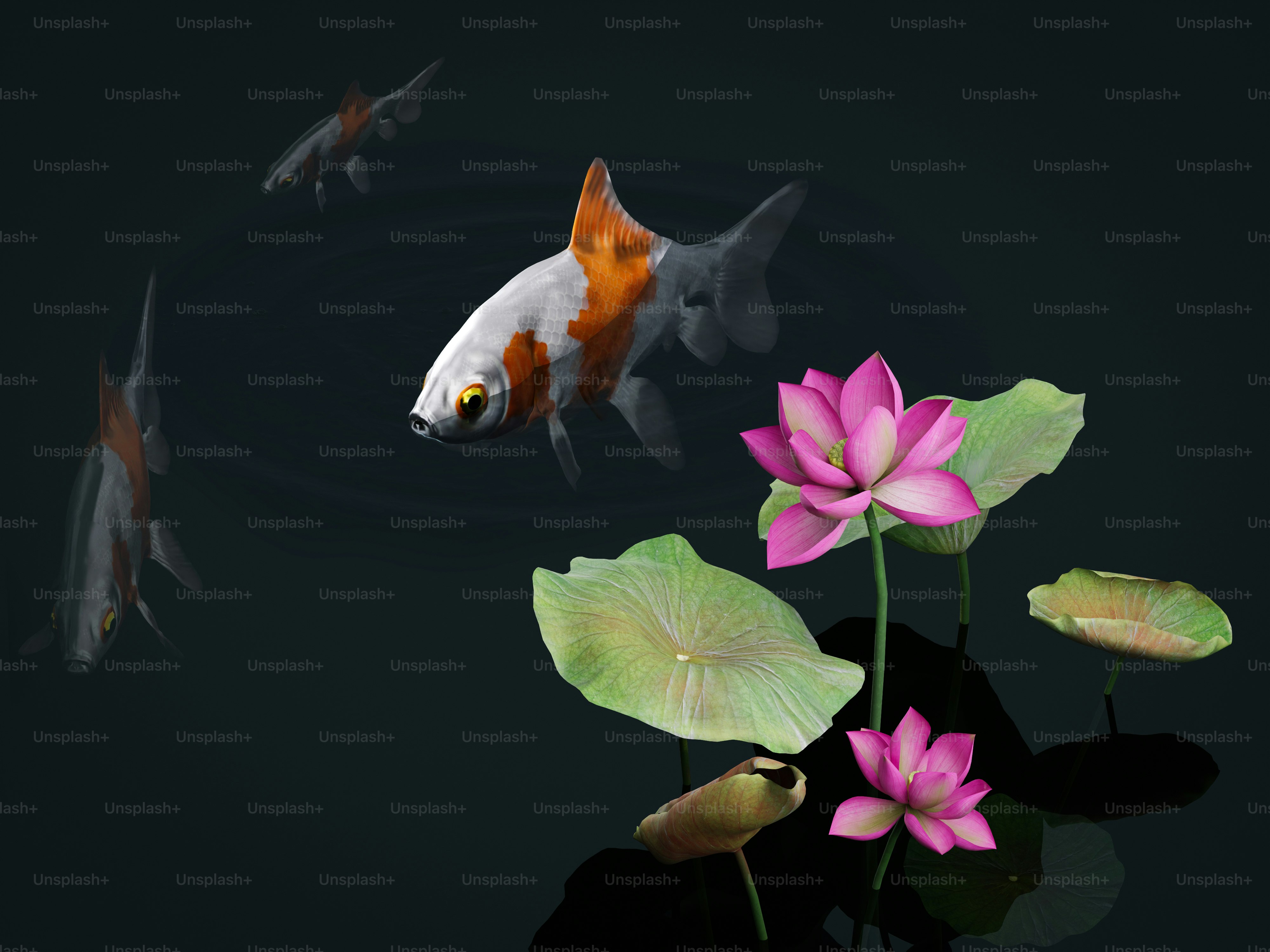 7 Nature-Inspired Aquascaping Layouts for Beginners