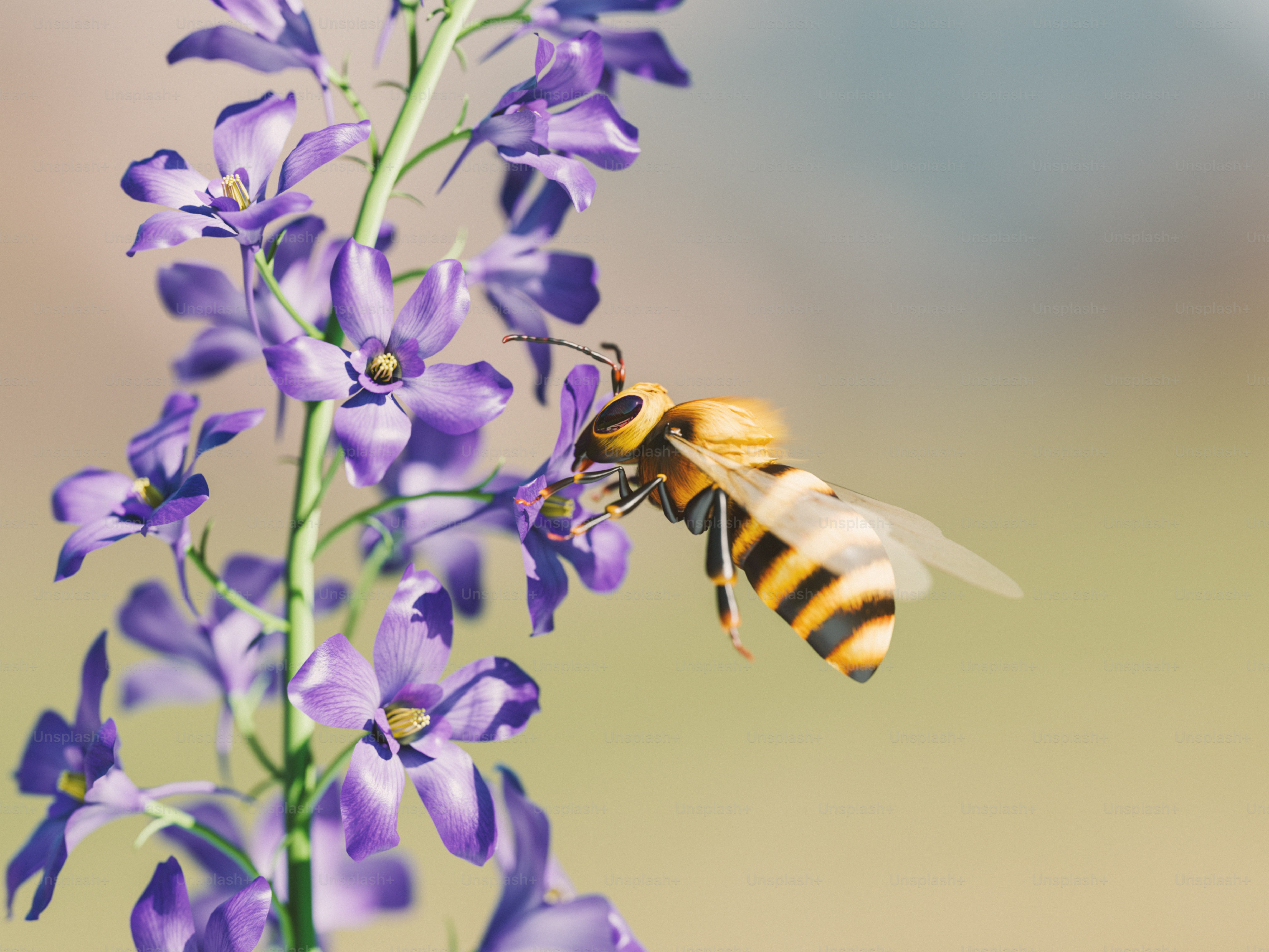 A bee that is sitting on a flower
