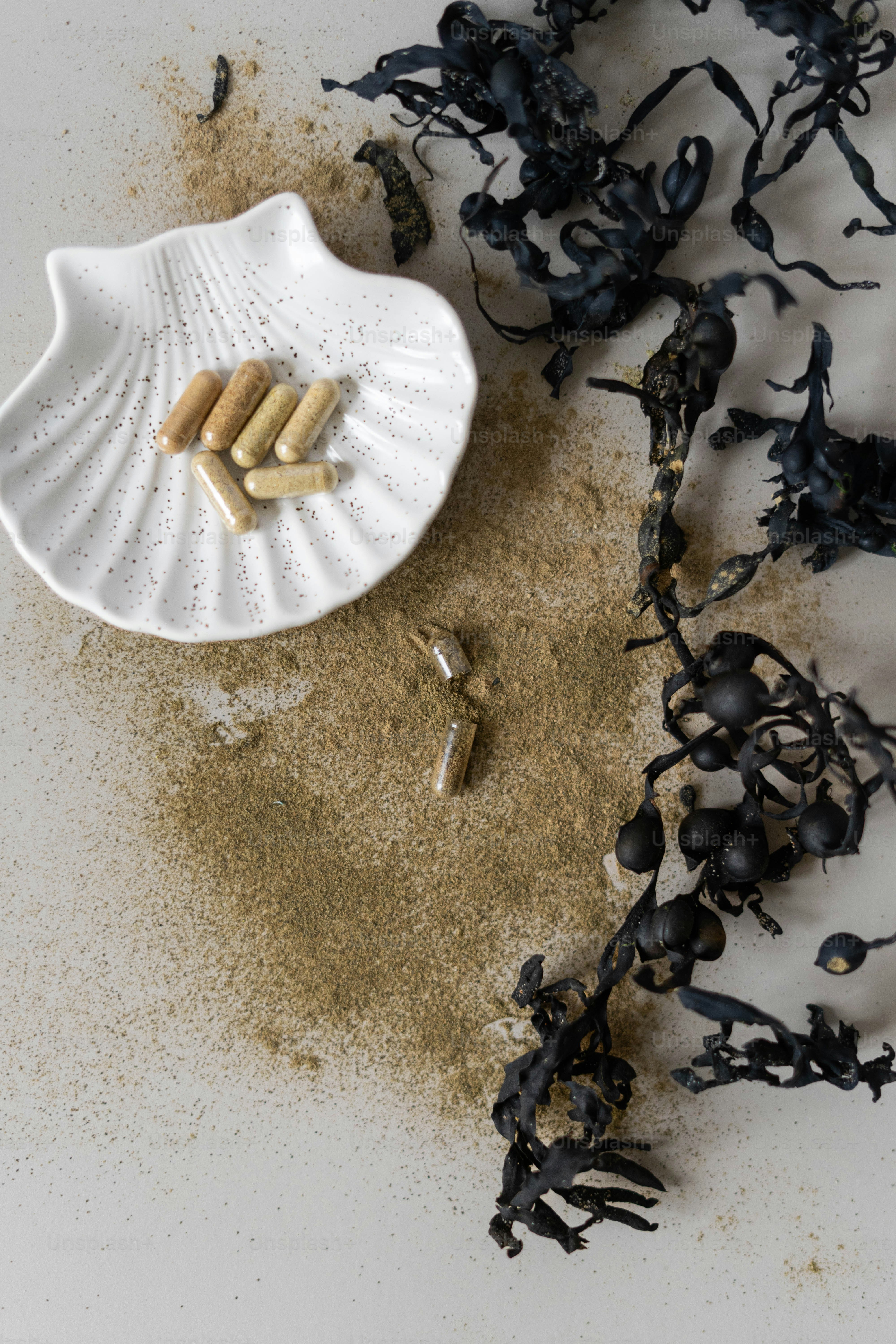 Ein weißer, mit viel Dreck gefüllter Teller neben einem Haufen schwarzer Ameisen