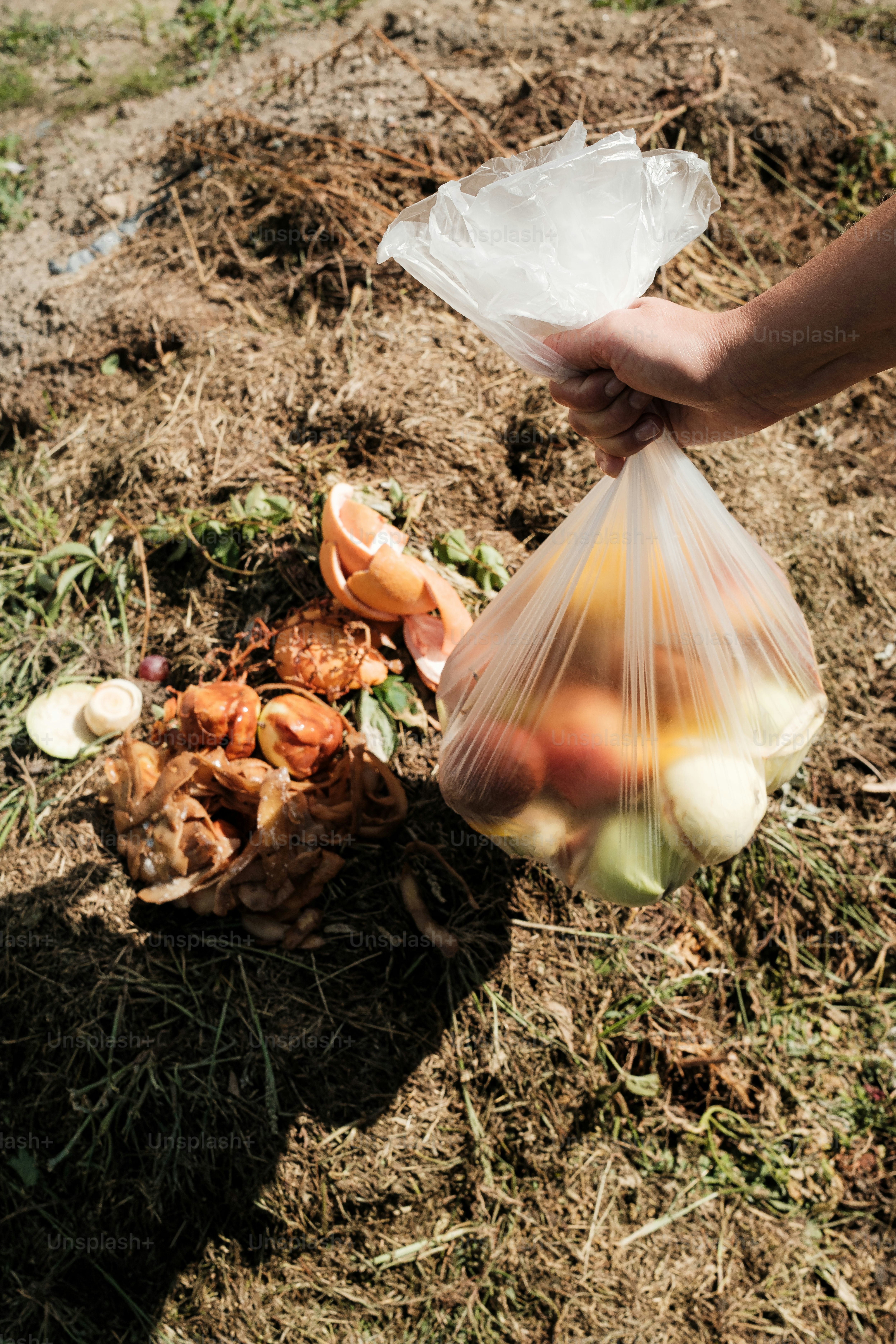 A person holding a plastic bag full of fruit