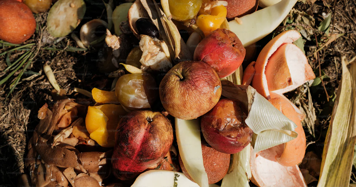 A pile of rotten fruits and vegetables on the ground photo – Food waste ...