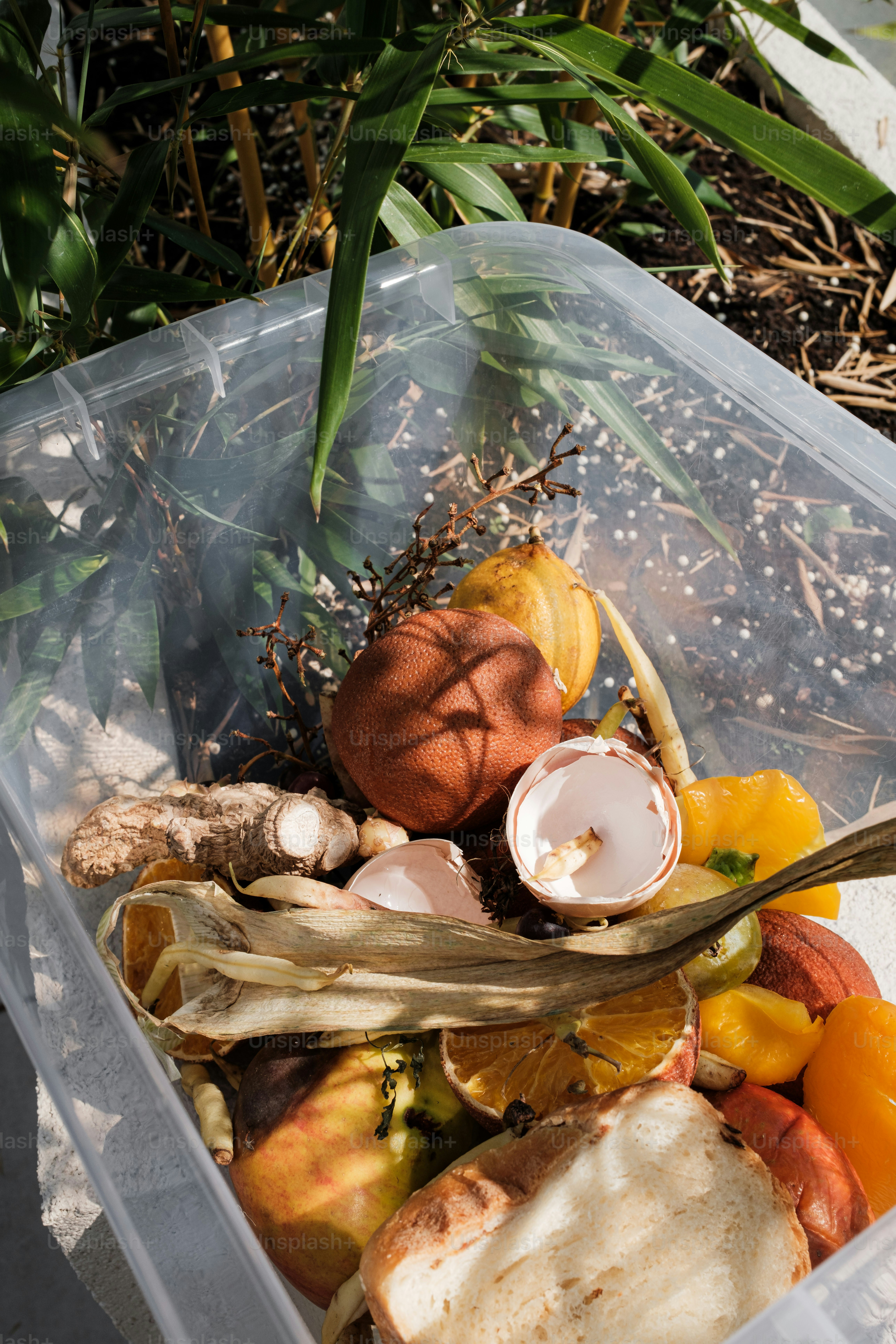 A plastic container filled with lots of food