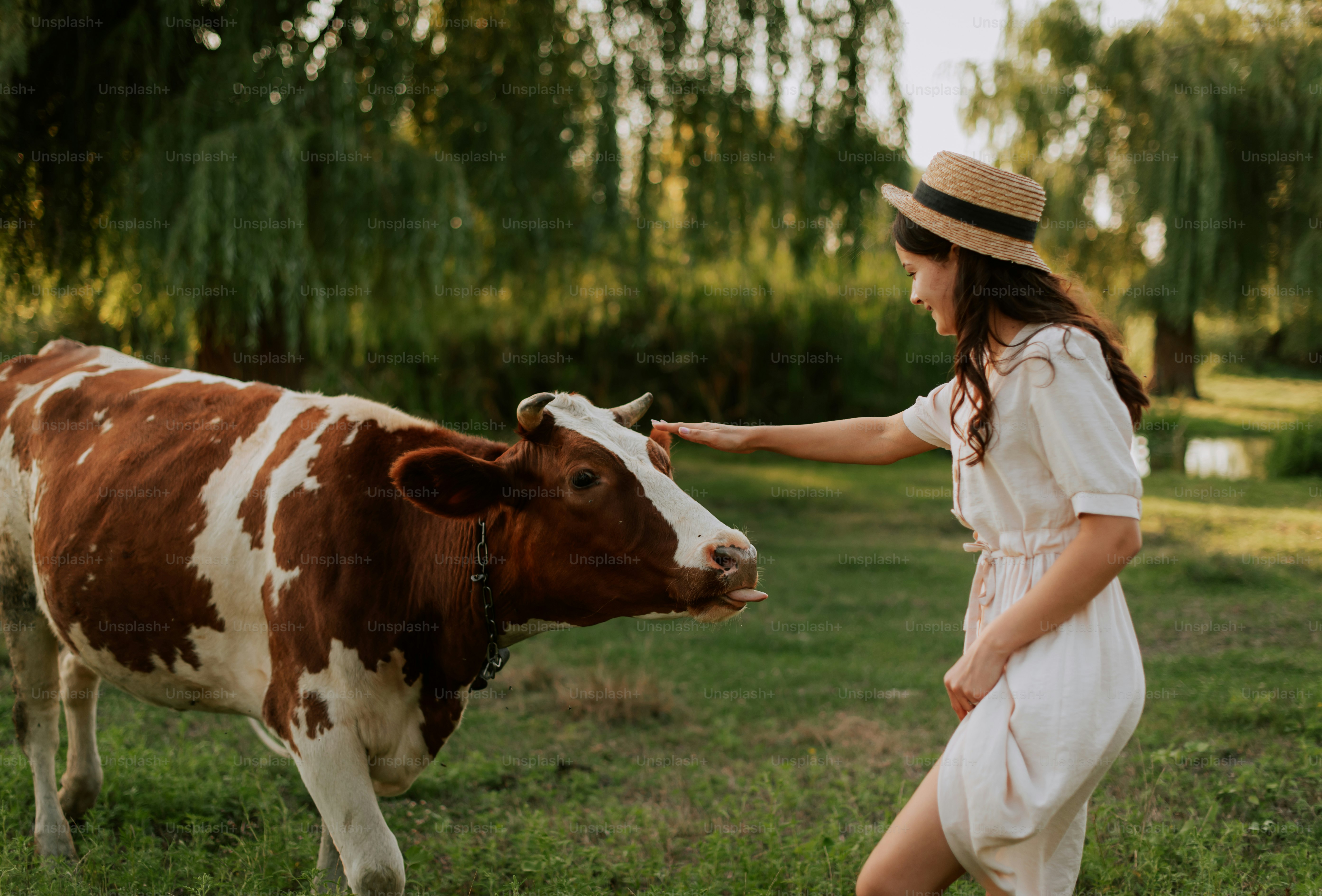 A woman in a hat petting a brown and white cow