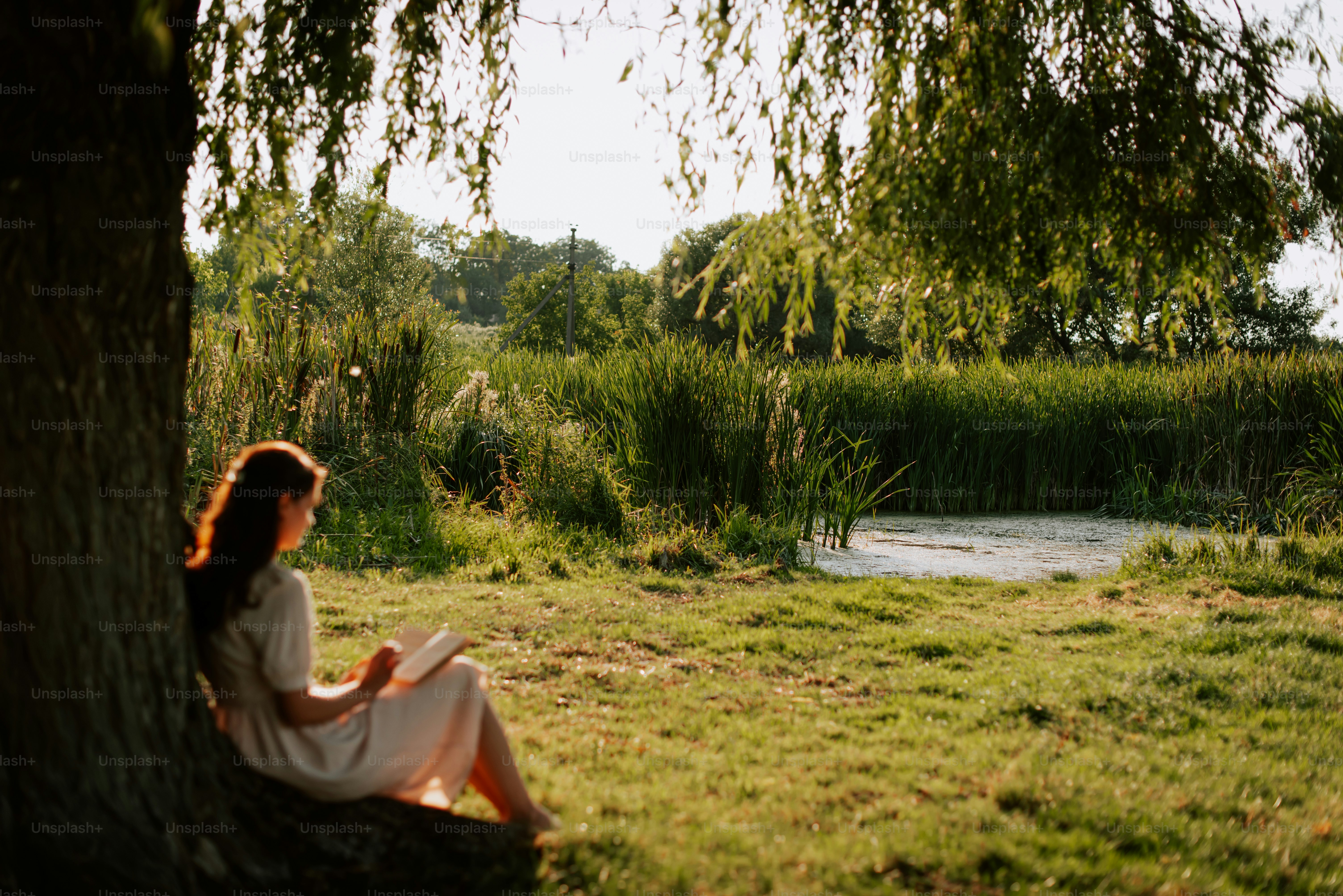 A woman sitting under a tree in a field