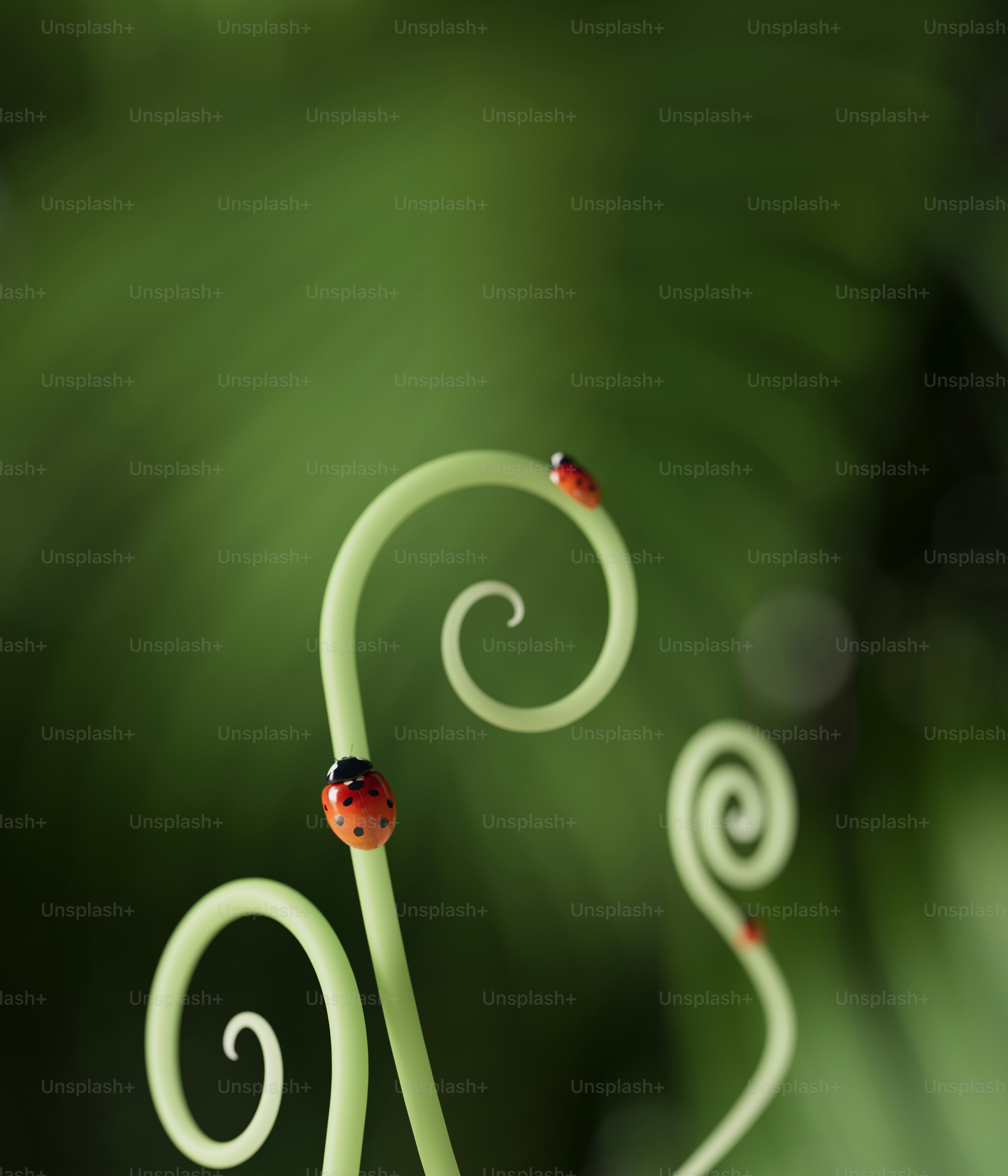 A lady bug sitting on top of a green leaf