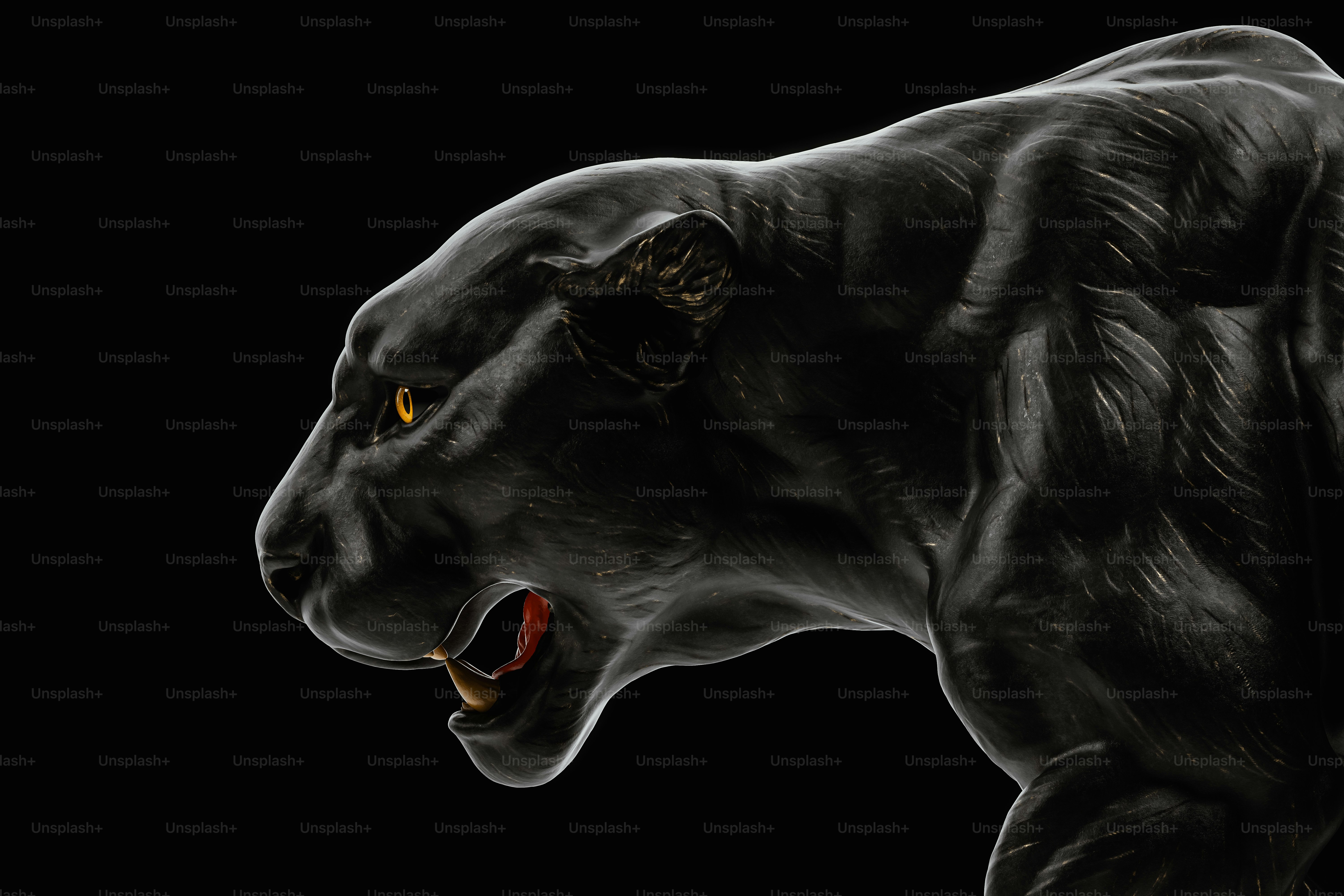 Imágenes de Panteras Negras | Descarga imágenes gratuitas en Unsplash, image size:3000x2000