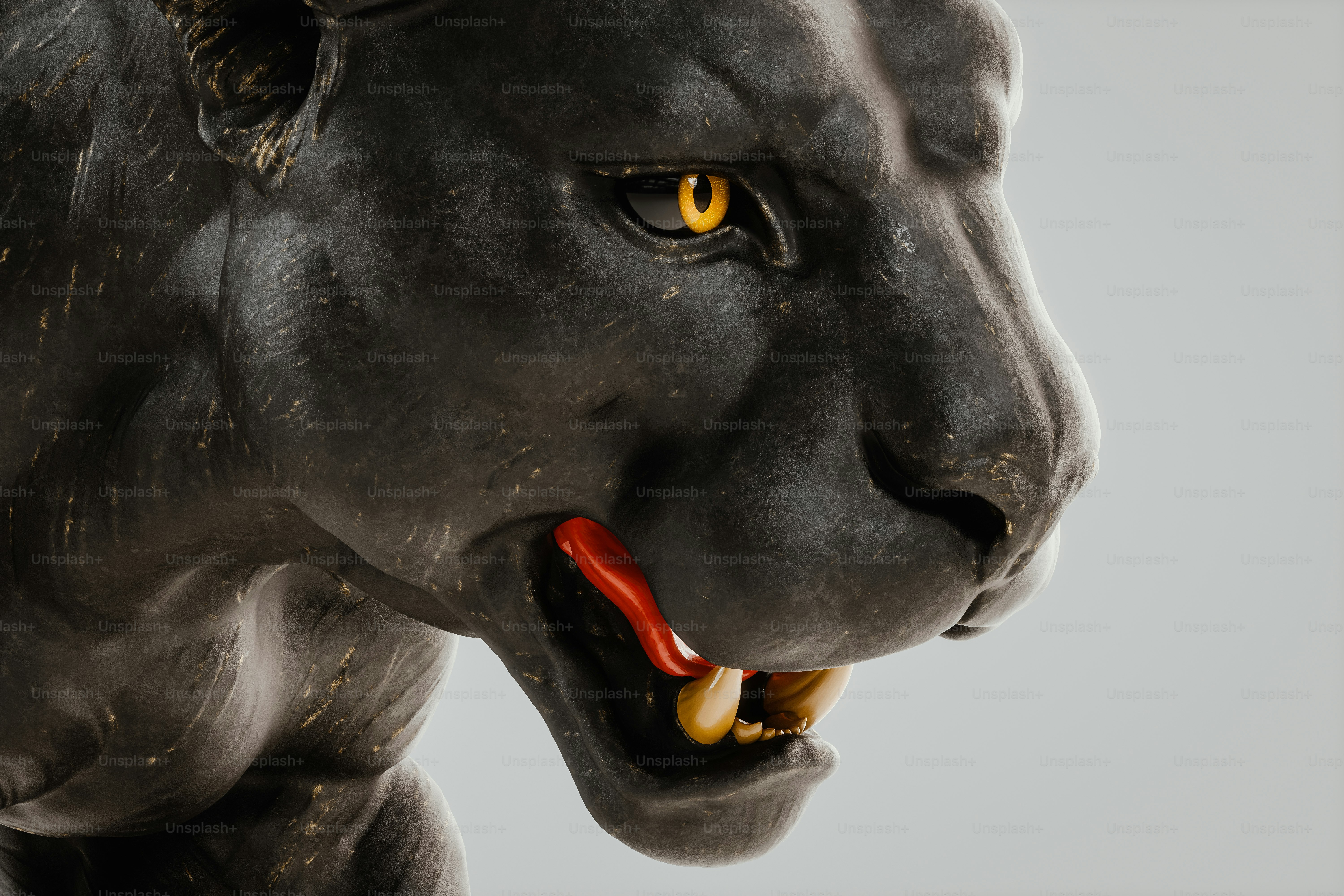 Imágenes de Panteras Negras | Descarga imágenes gratuitas en Unsplash, image size:3000x2000