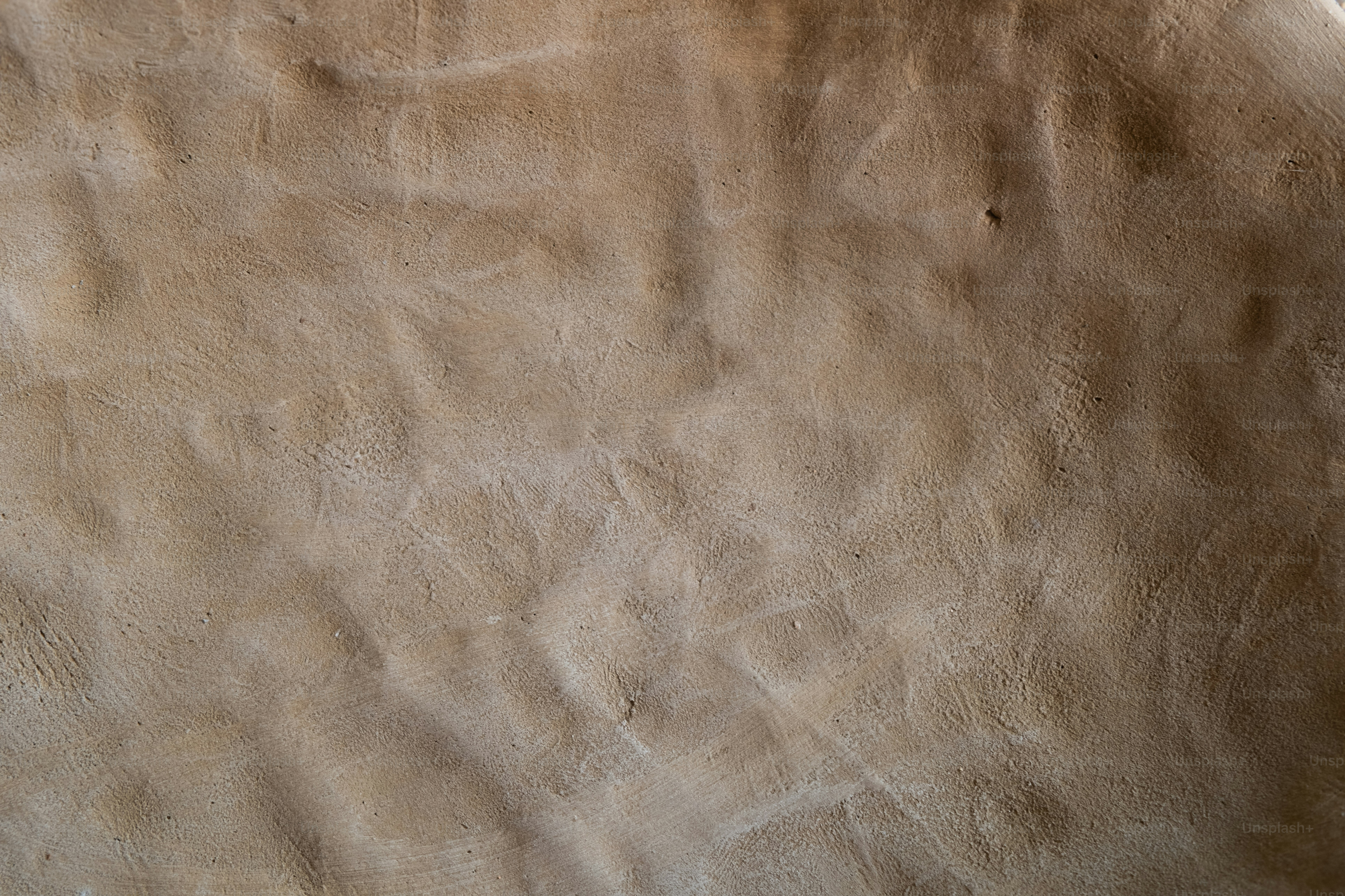 A close up of a sheep's fur with a blurry background