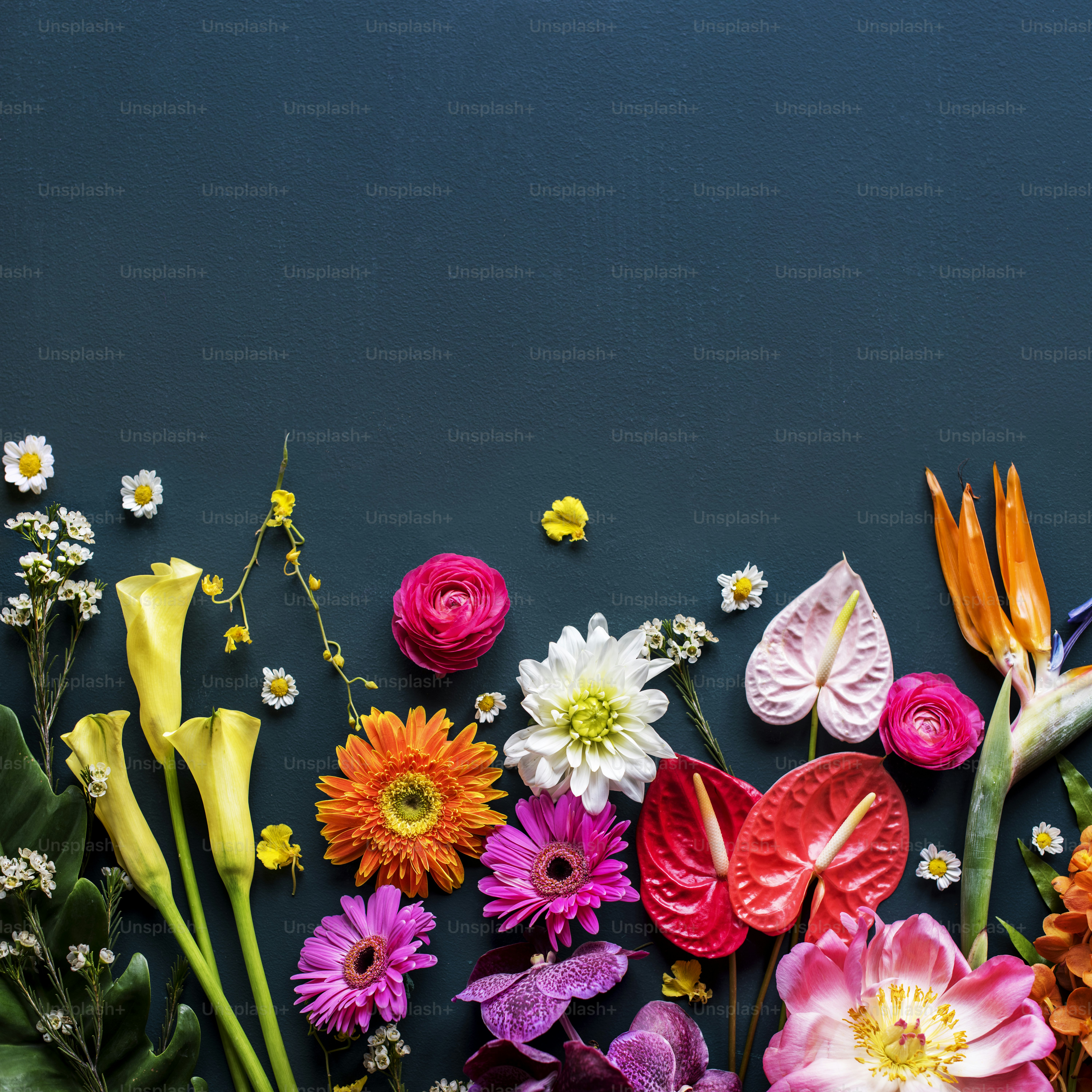 Blumige Blätter, Romantik, Dekoration, Frische, üppig