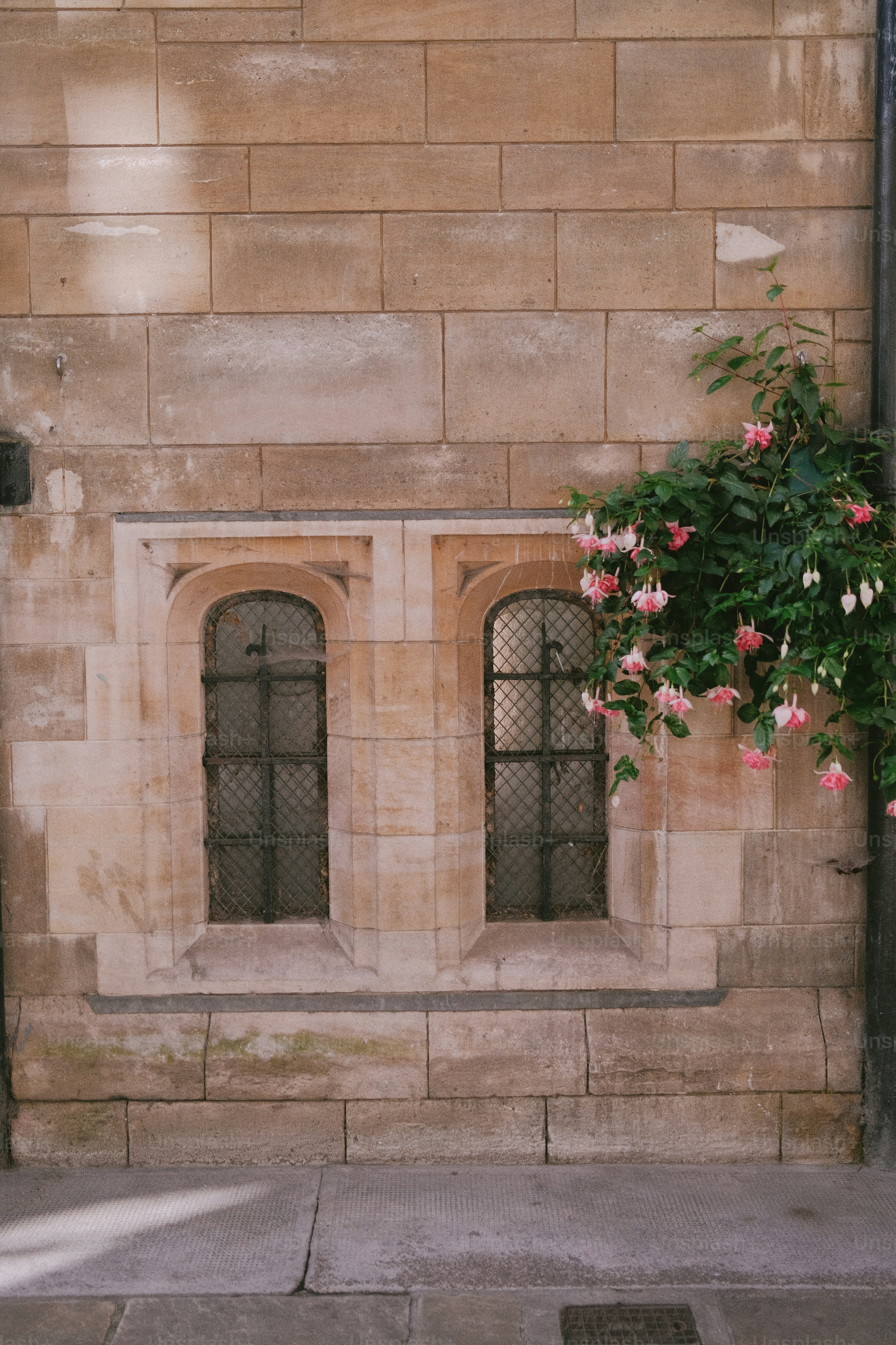 Un edificio con un vaso di fiori sul lato