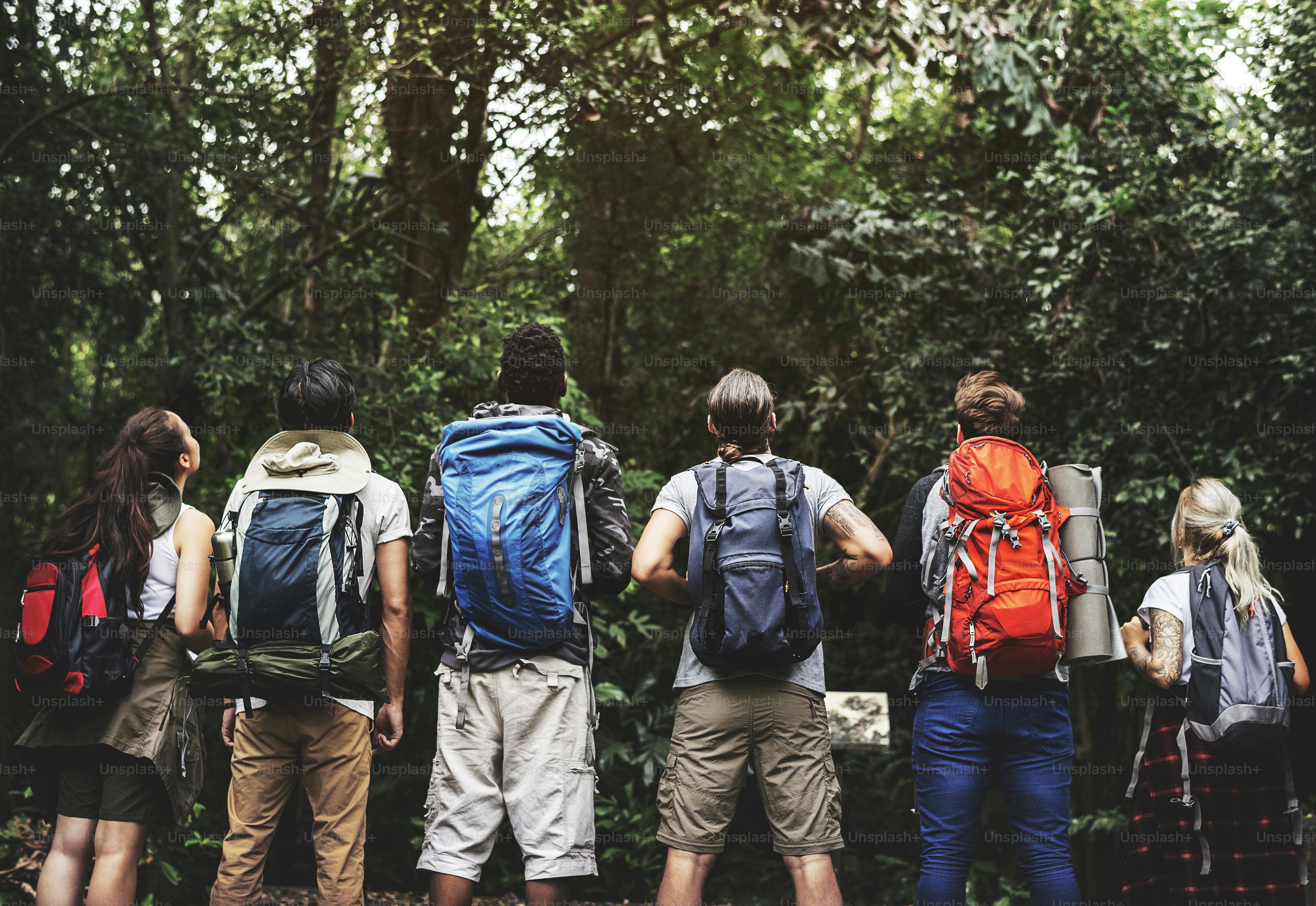 Premium backpacking budget accommodation comparison