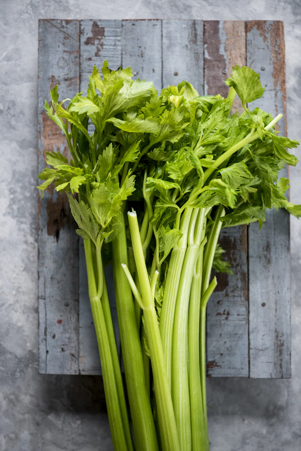 Celery